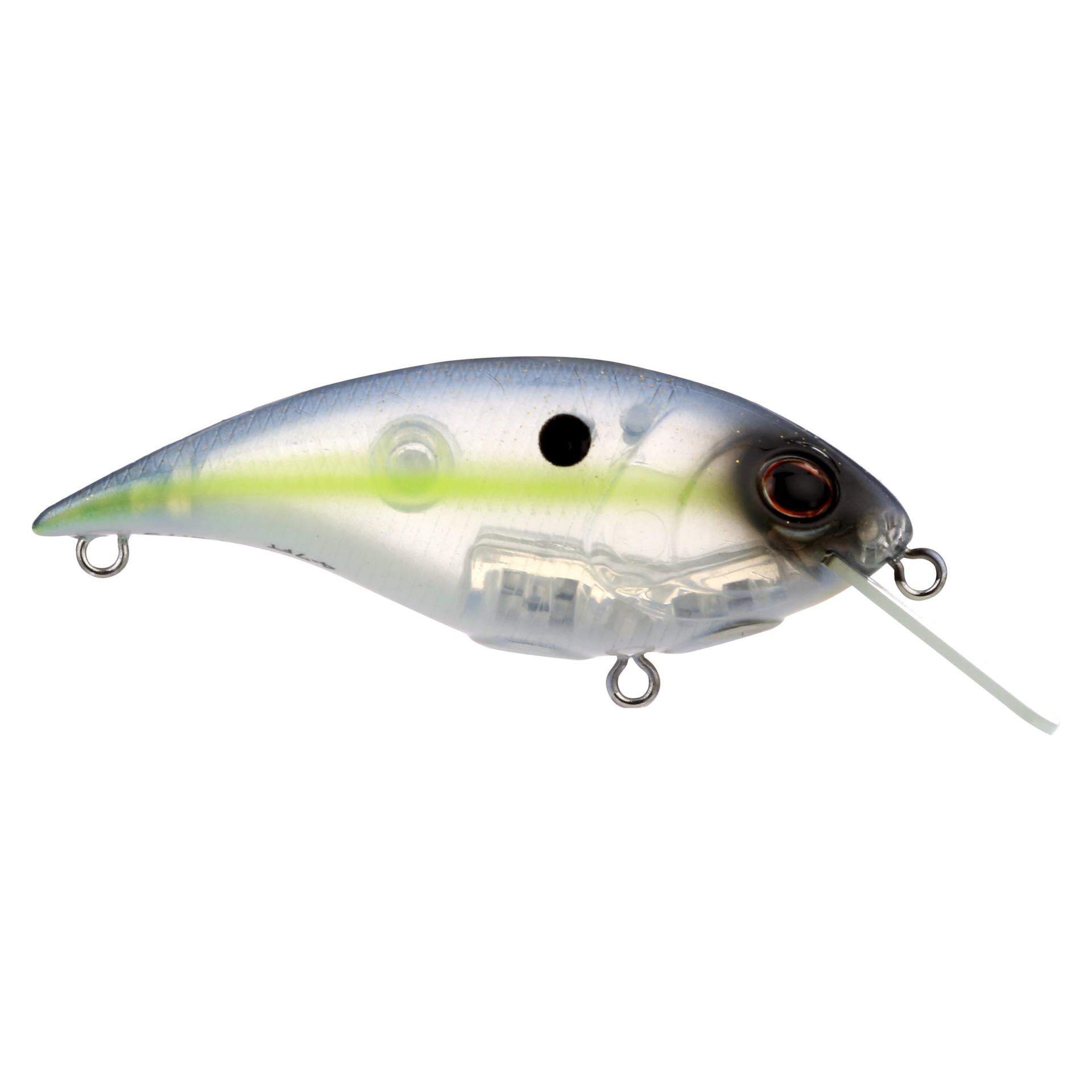 Shallow Money Badger| Berkley®