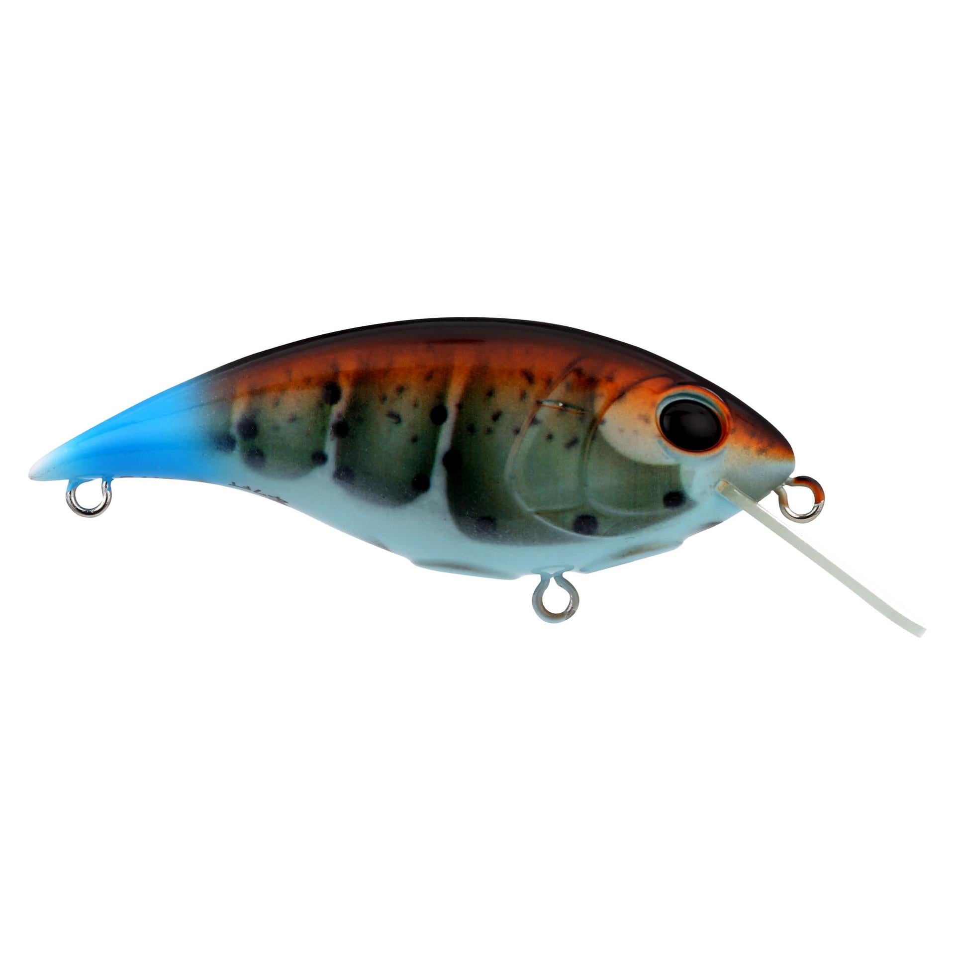 Shallow Money Badger| Berkley®