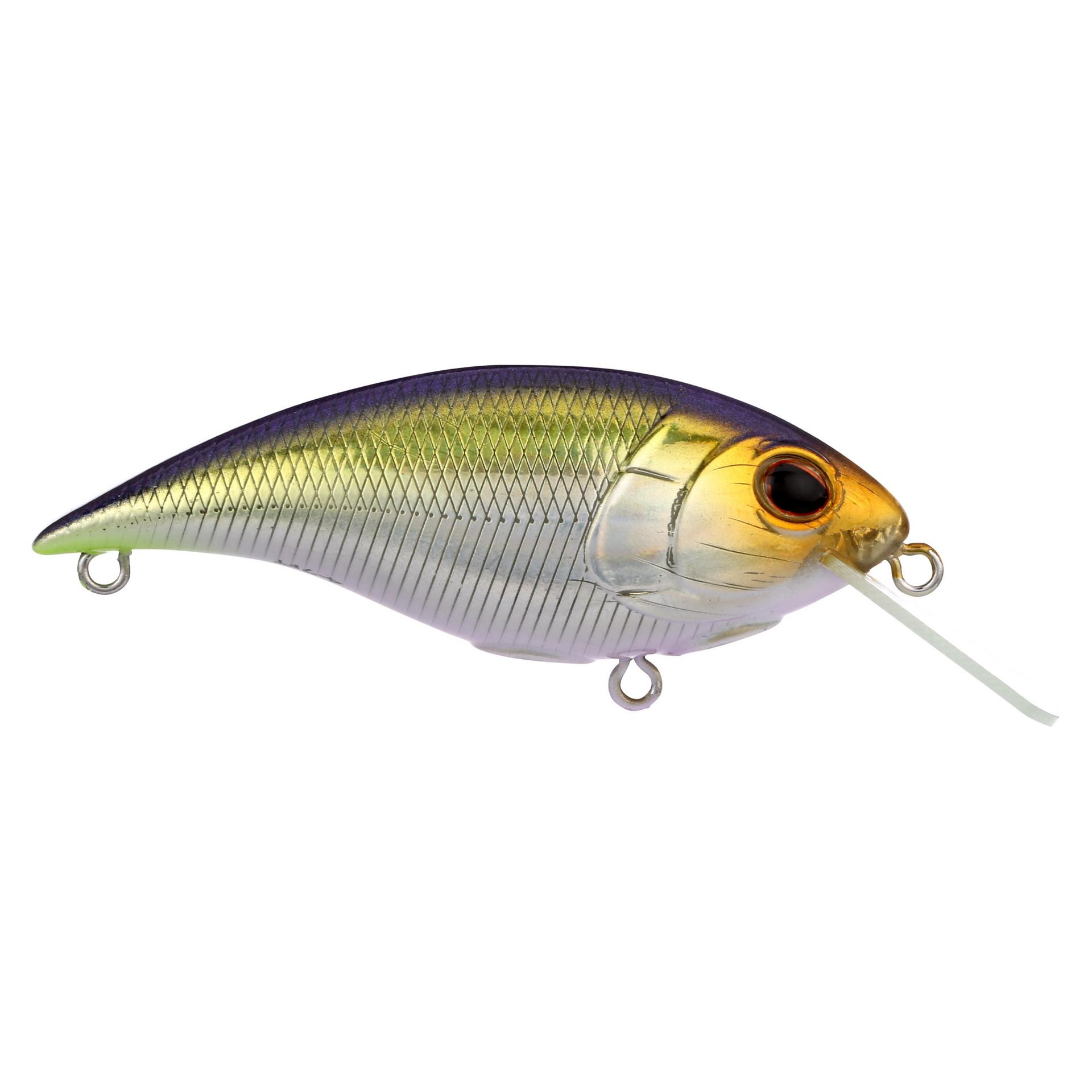 Shallow Money Badger| Berkley®