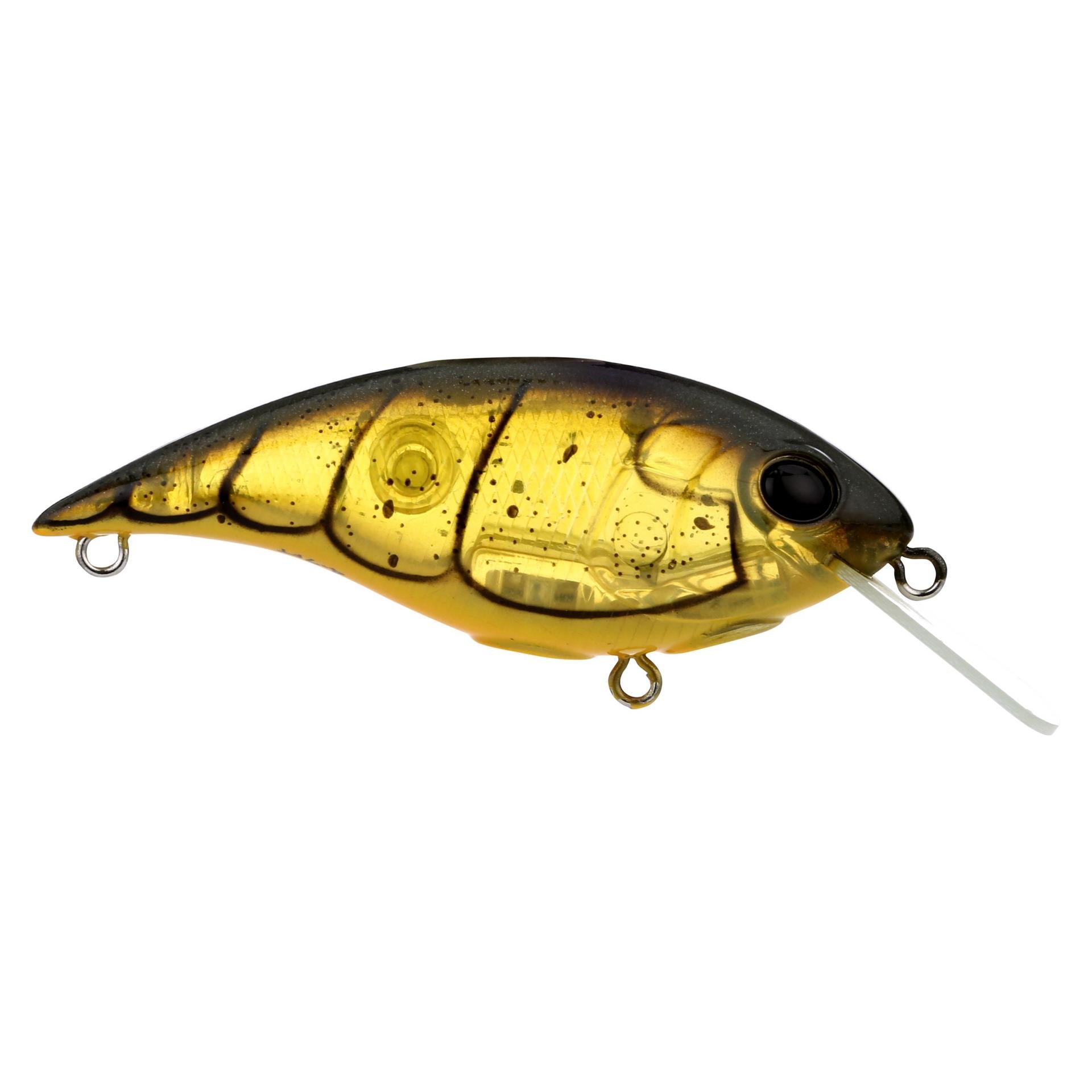 Shallow Money Badger| Berkley®