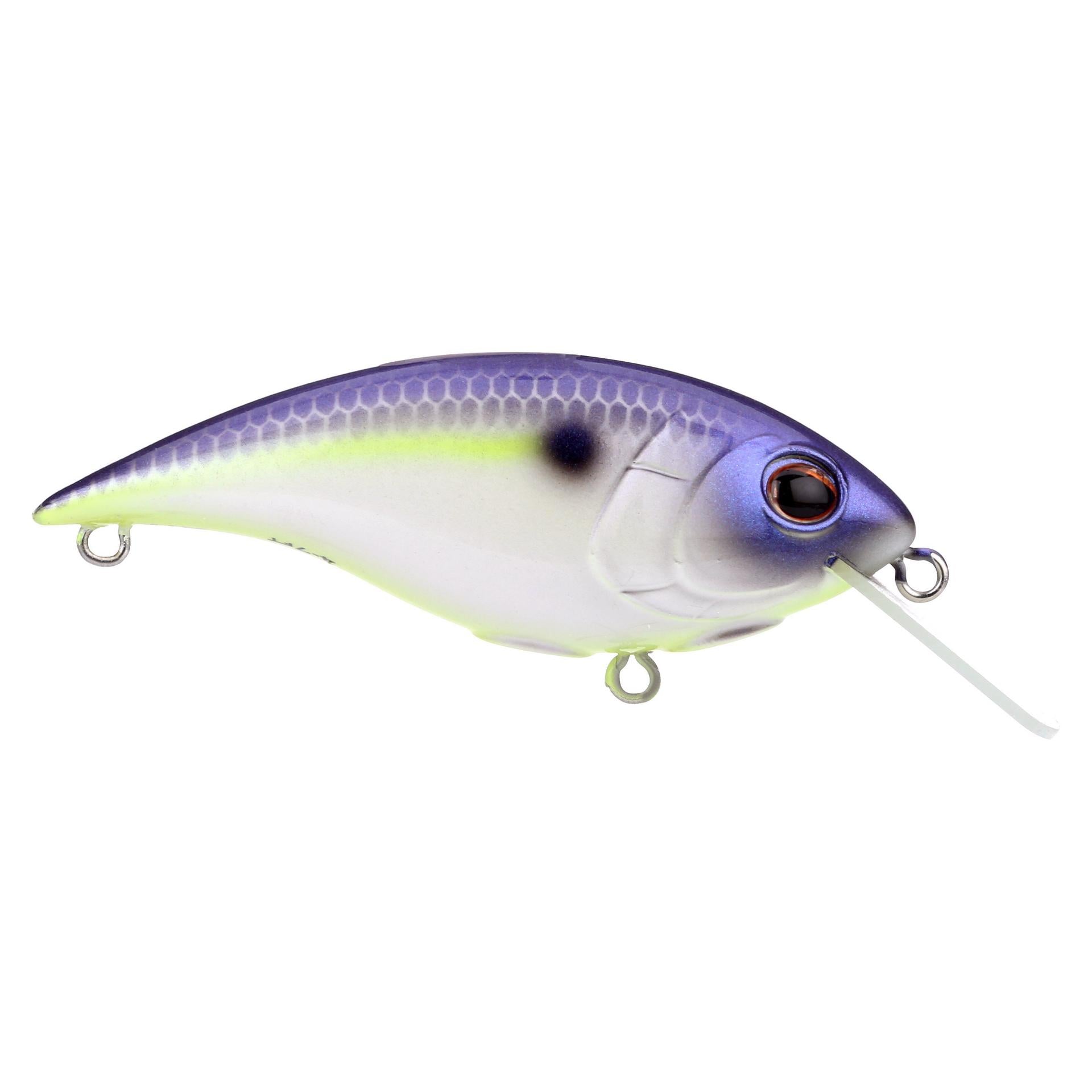 Shallow Money Badger| Berkley®