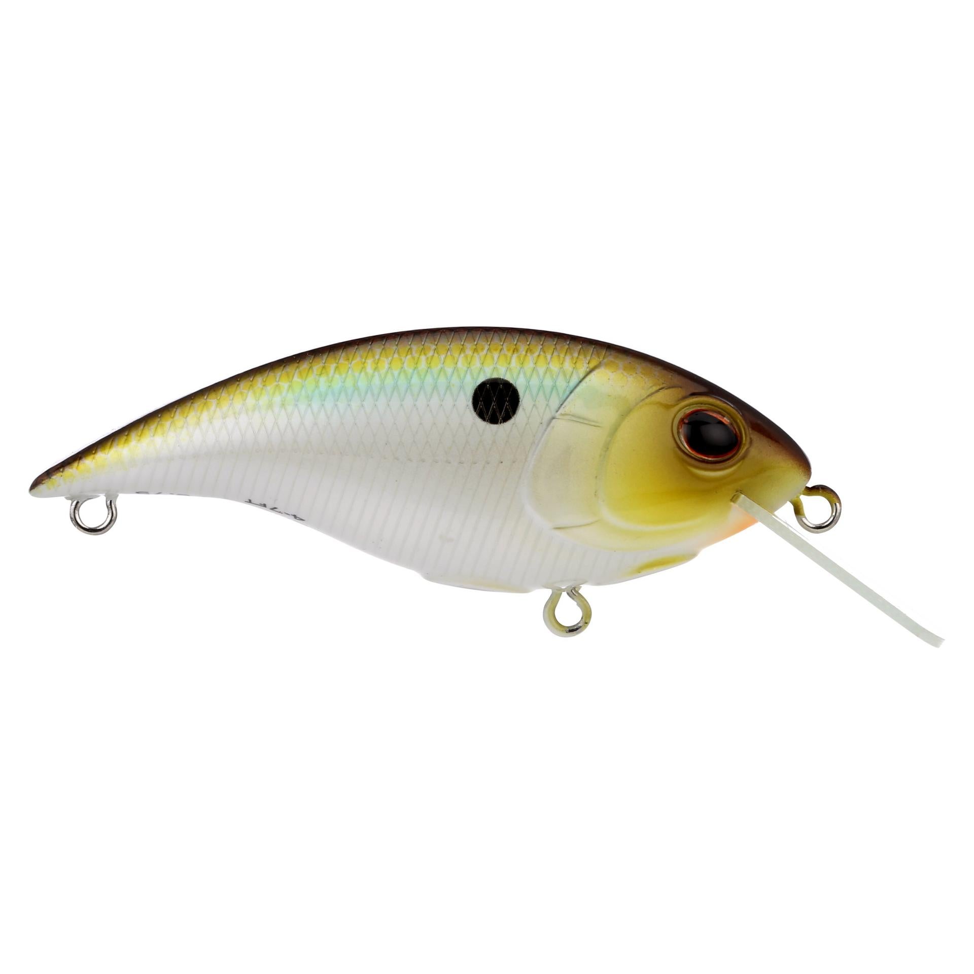 Shallow Money Badger| Berkley®