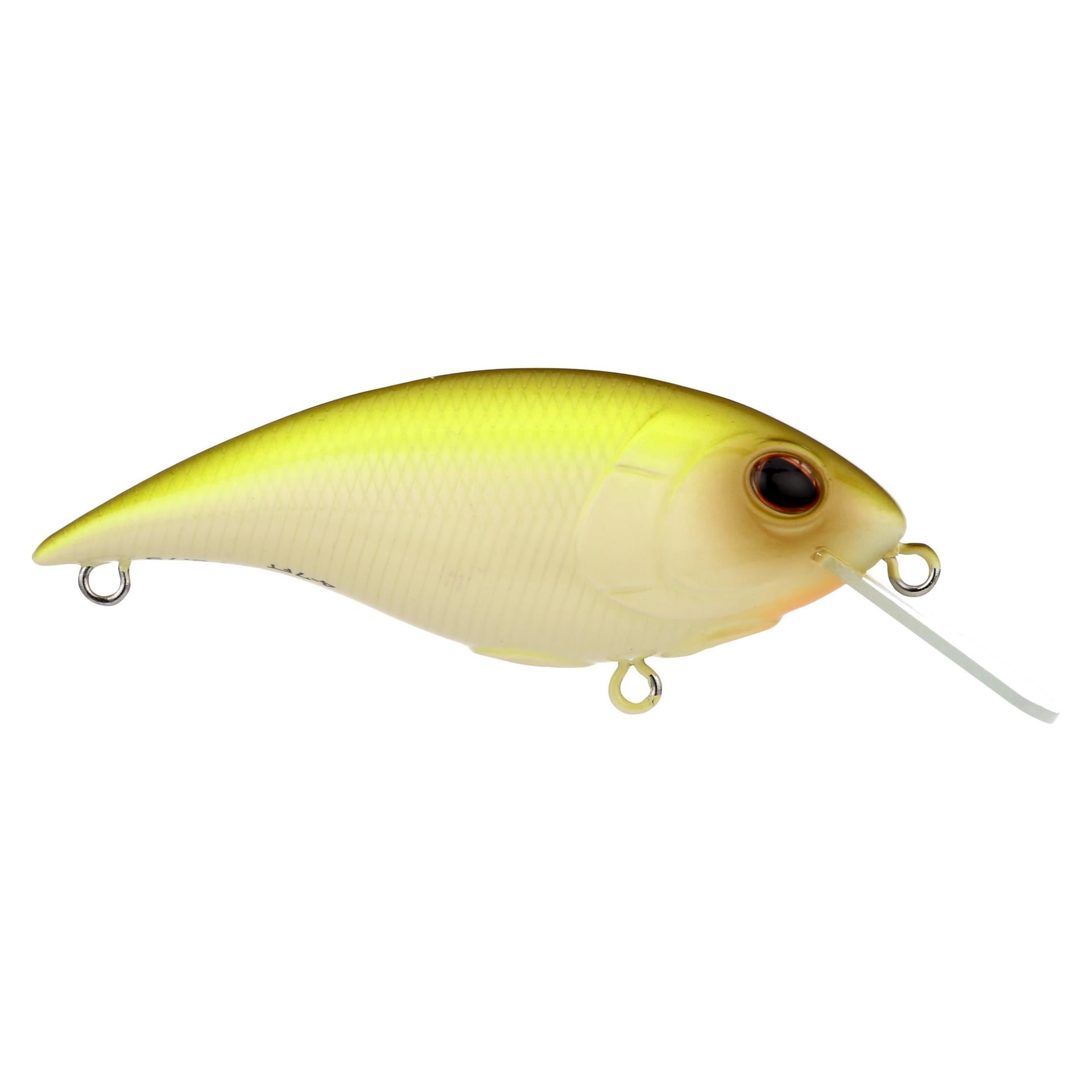 Shallow Money Badger| Berkley®