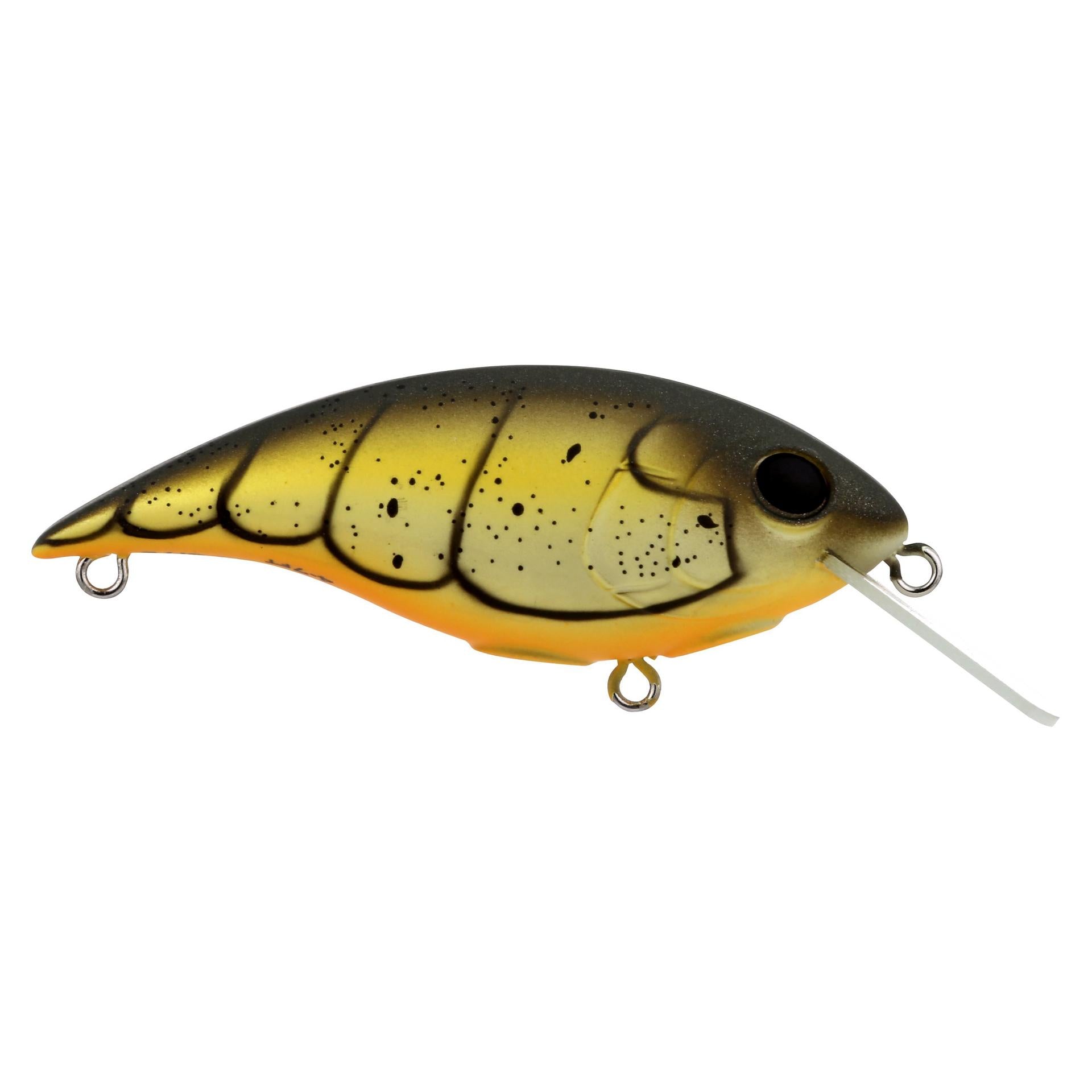 Shallow Money Badger| Berkley®