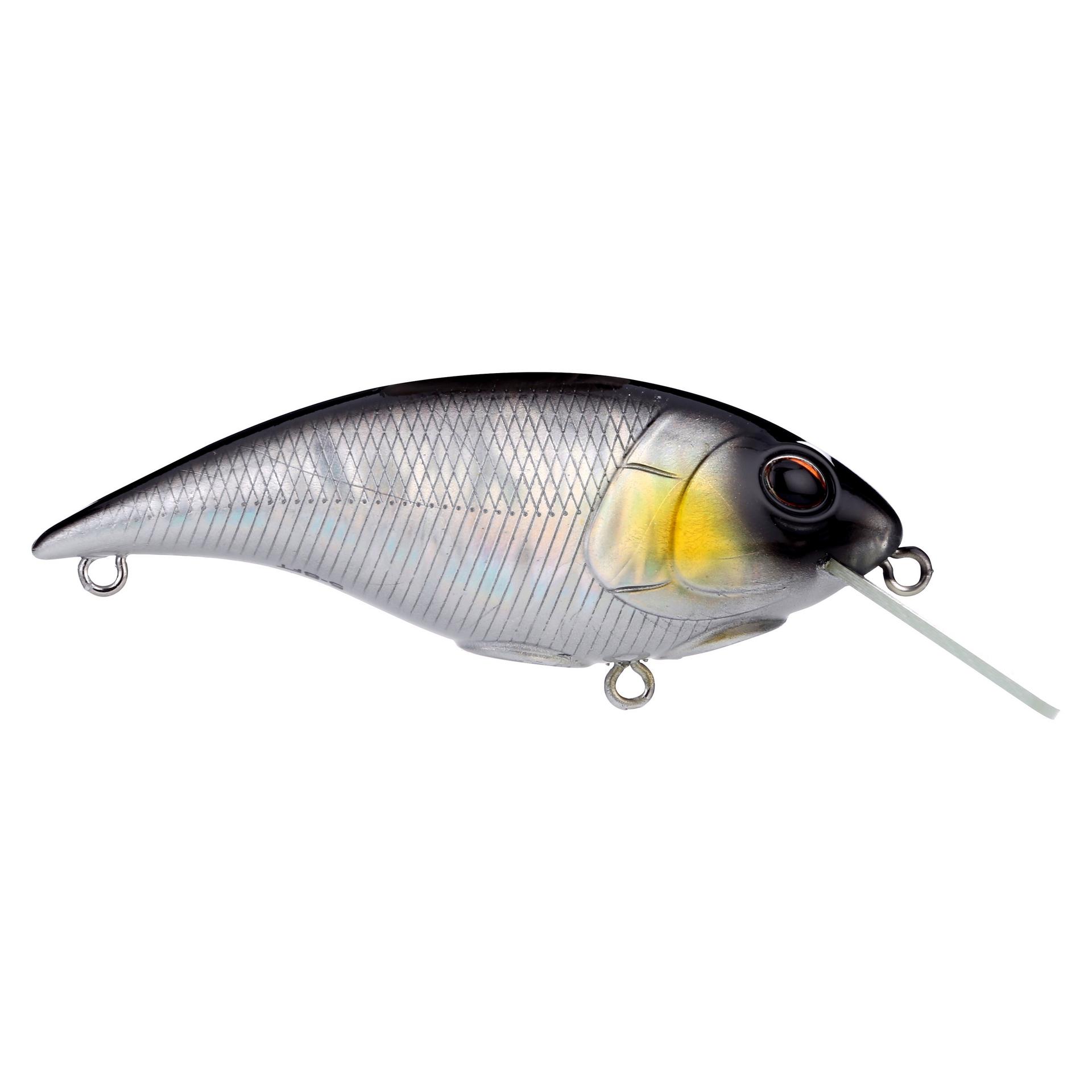 Shallow Money Badger| Berkley®