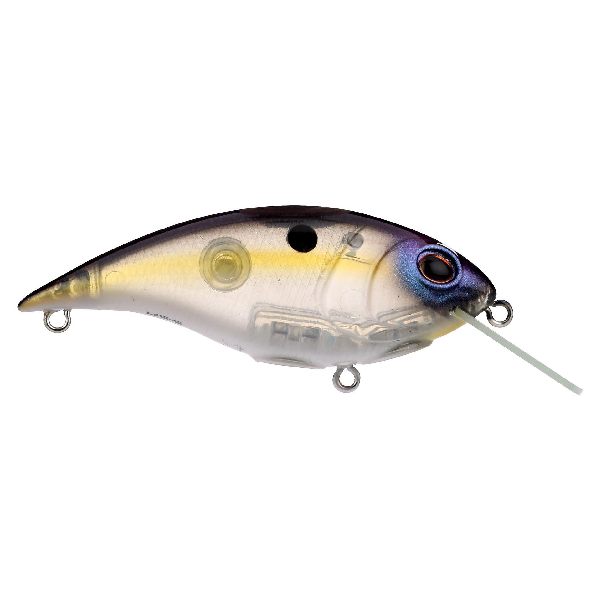 Shallow Money Badger| Berkley®