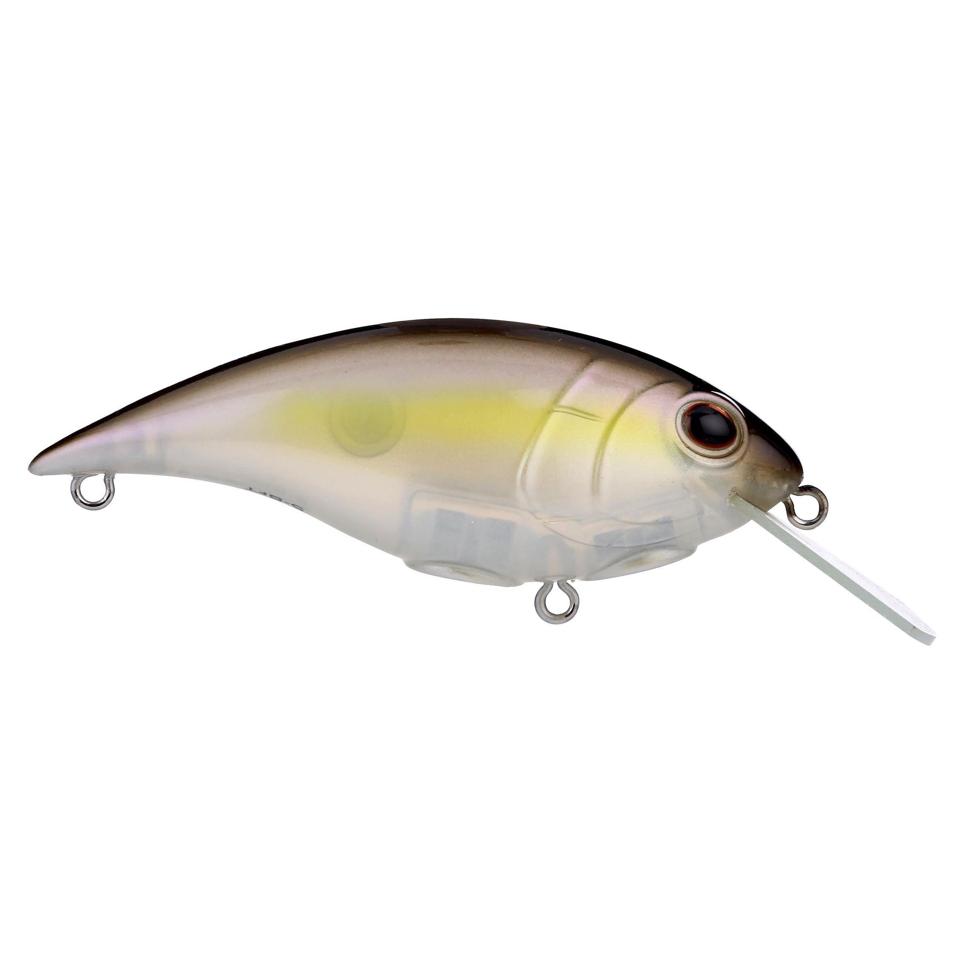 Shallow Money Badger| Berkley®