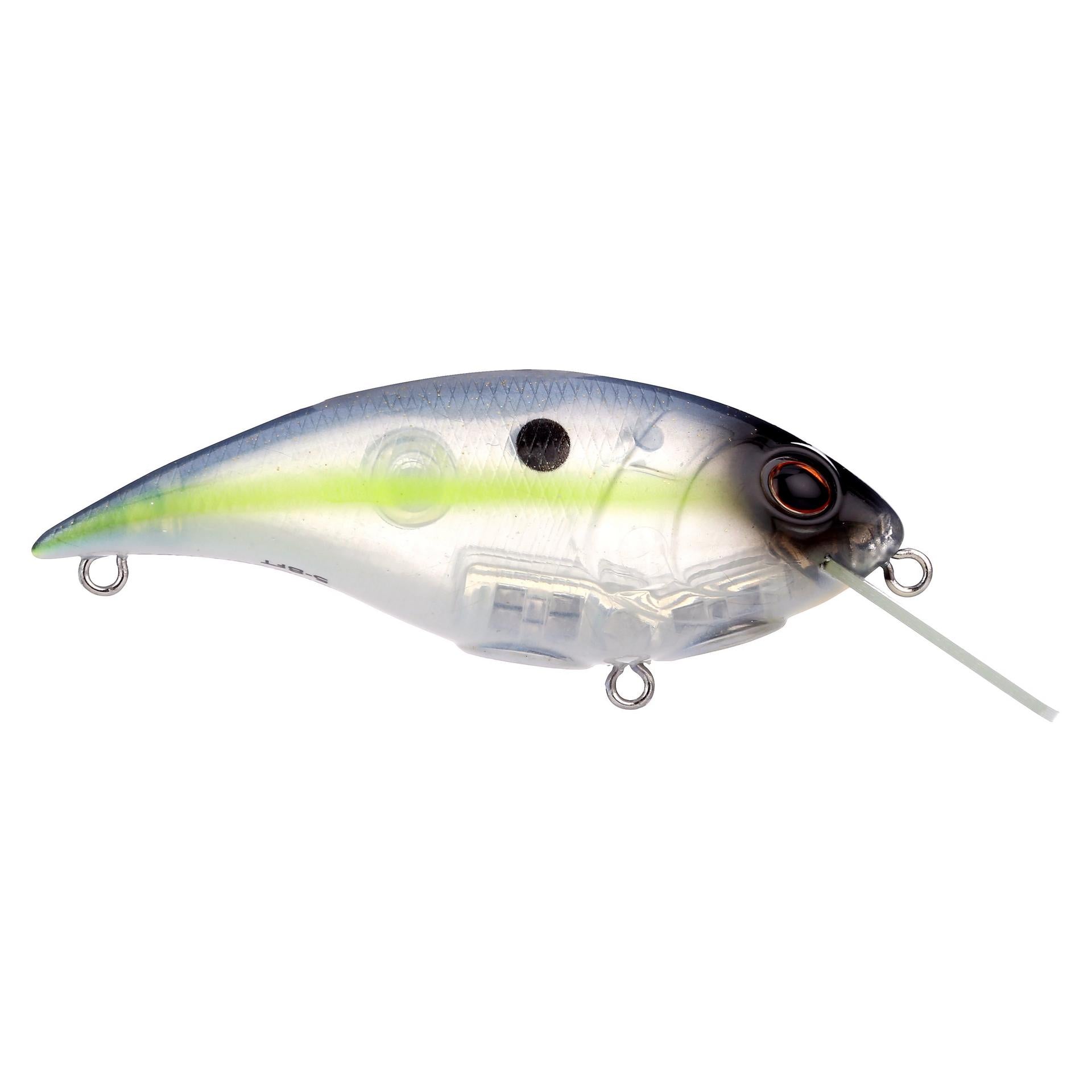 Shallow Money Badger| Berkley®