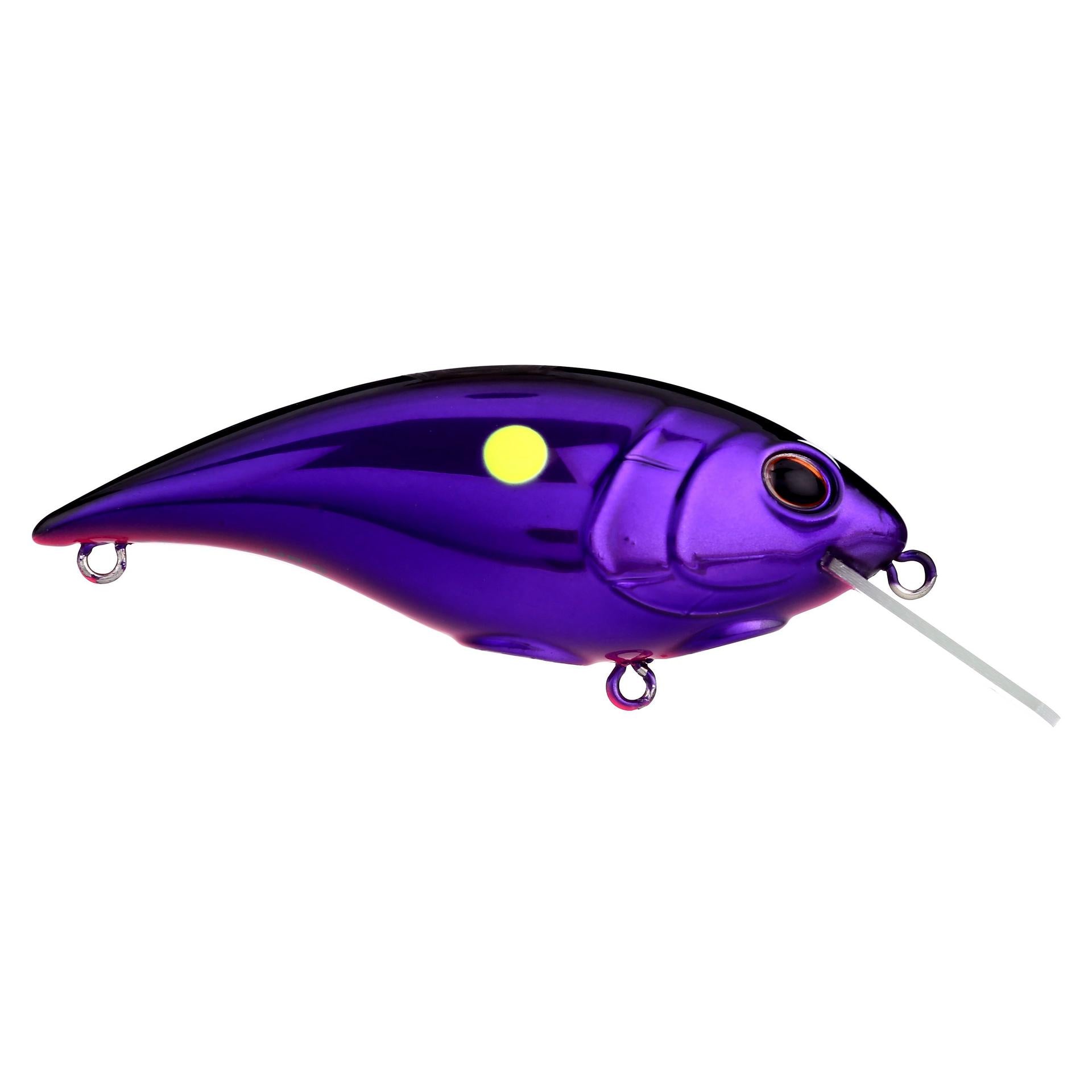 Shallow Money Badger| Berkley®
