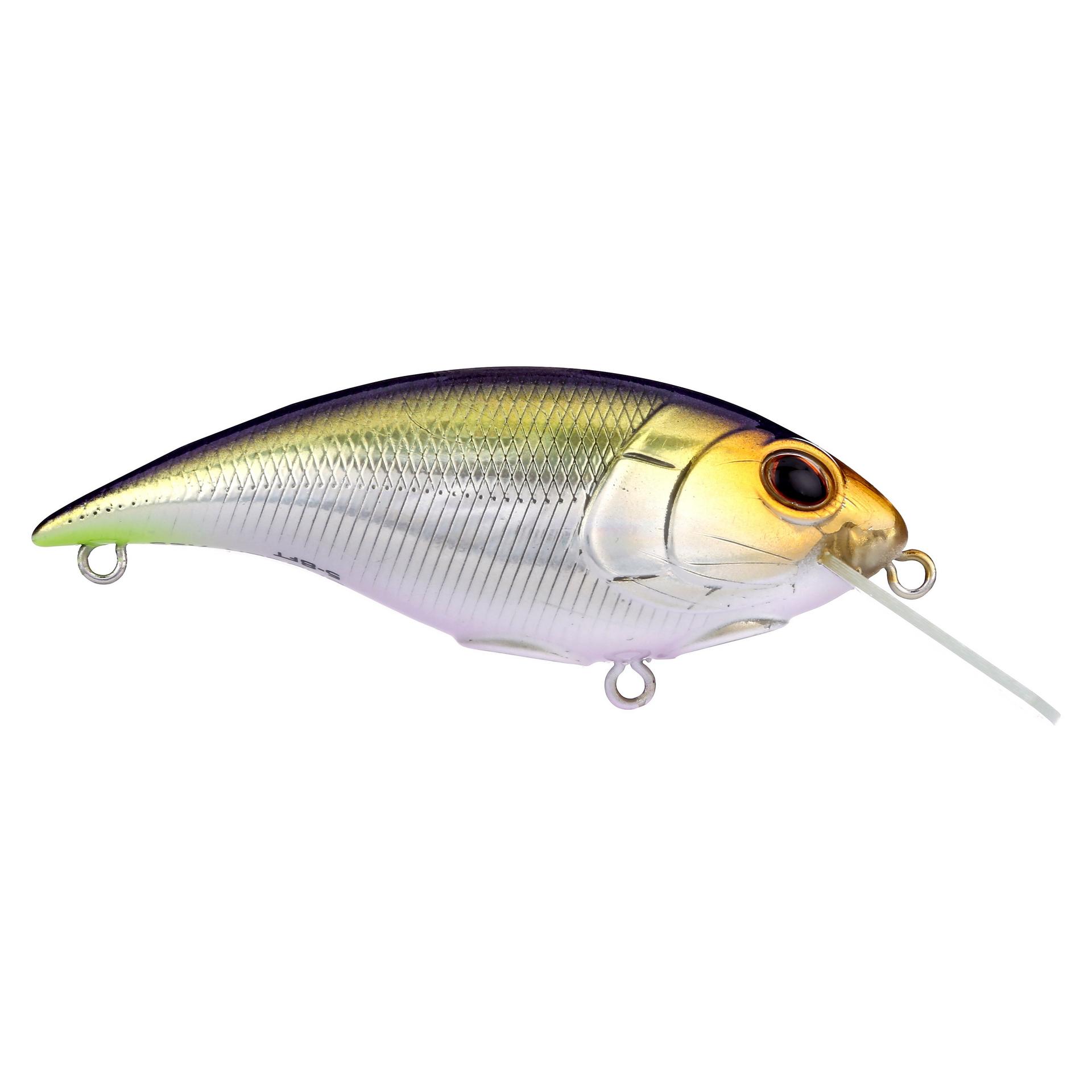 Shallow Money Badger| Berkley®
