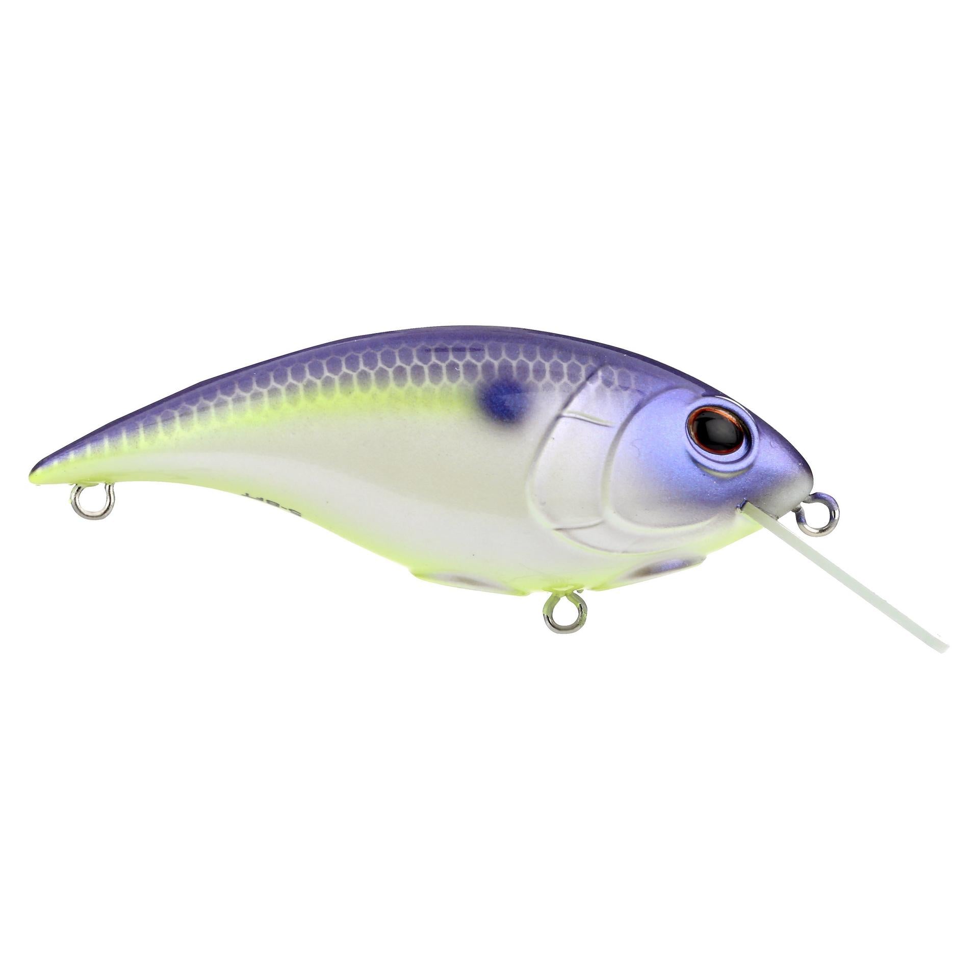 Shallow Money Badger| Berkley®