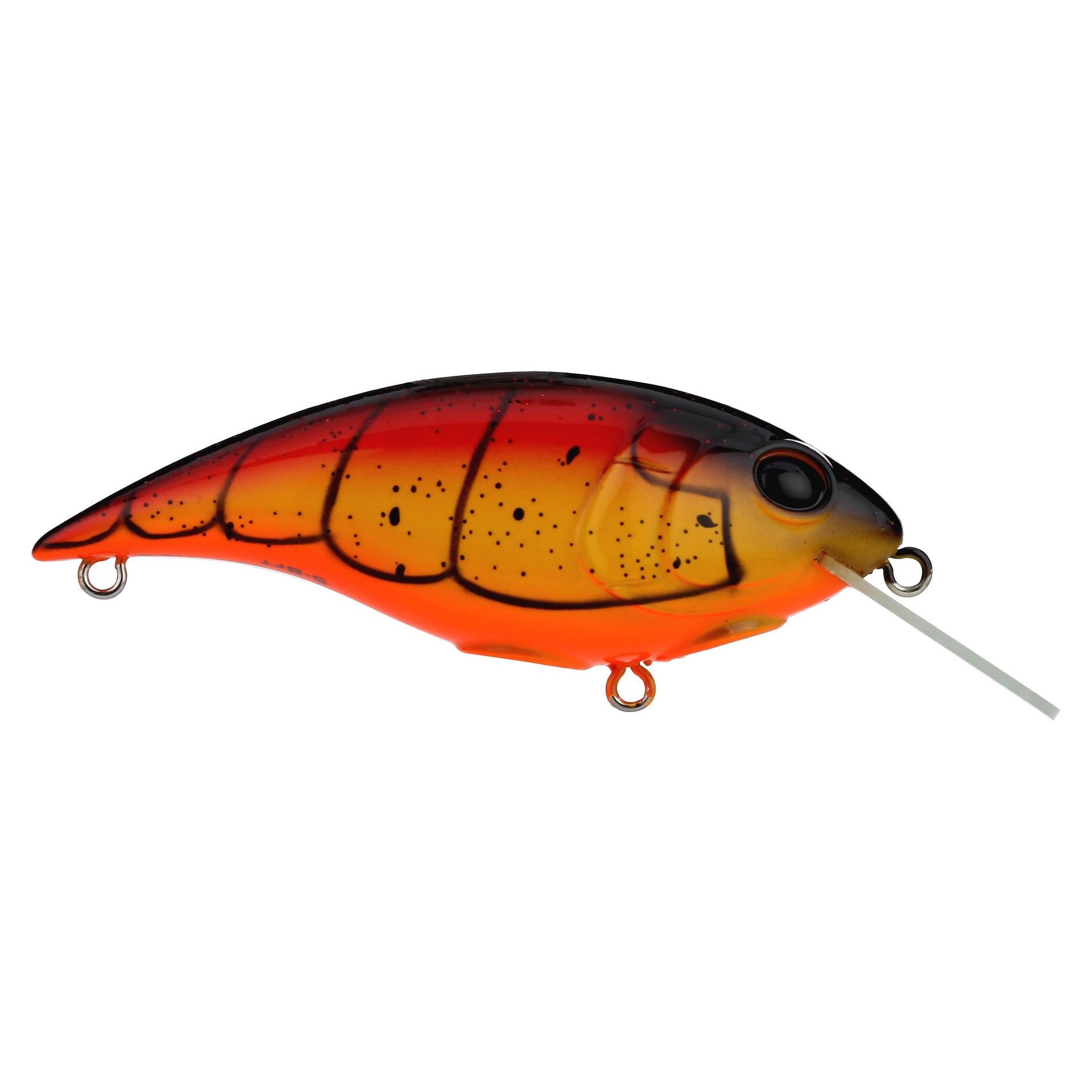 Shallow Money Badger| Berkley®