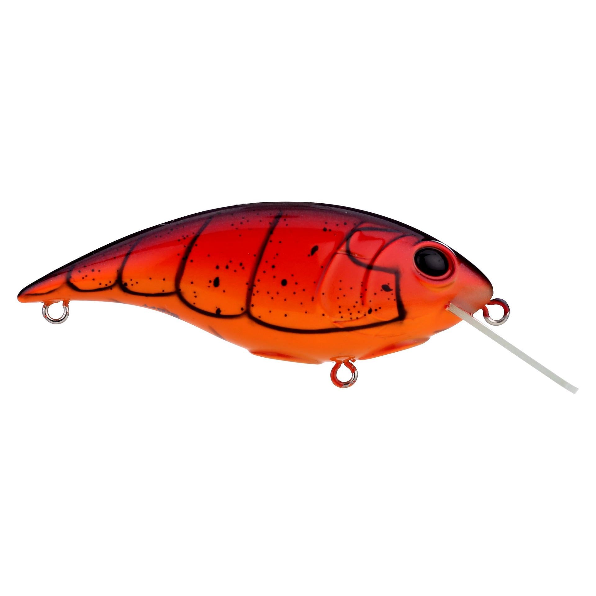 Shallow Money Badger| Berkley®