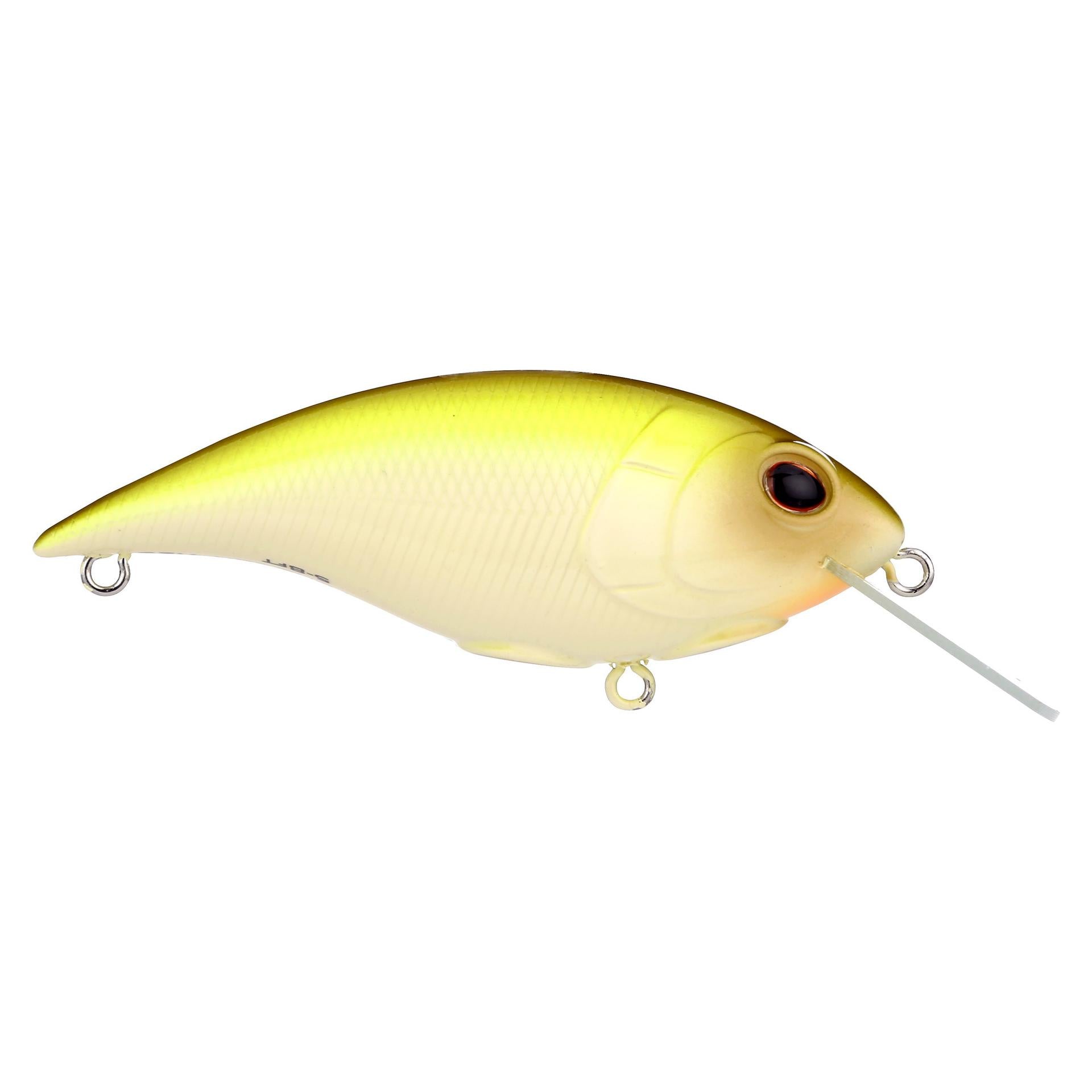 Shallow Money Badger| Berkley®