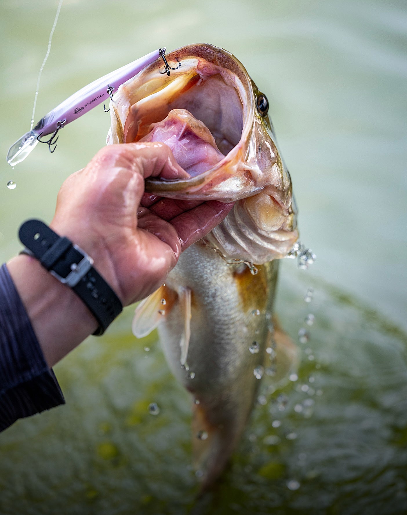 Hand holding a fish with a fishing lure in its mouth against a blurred water background