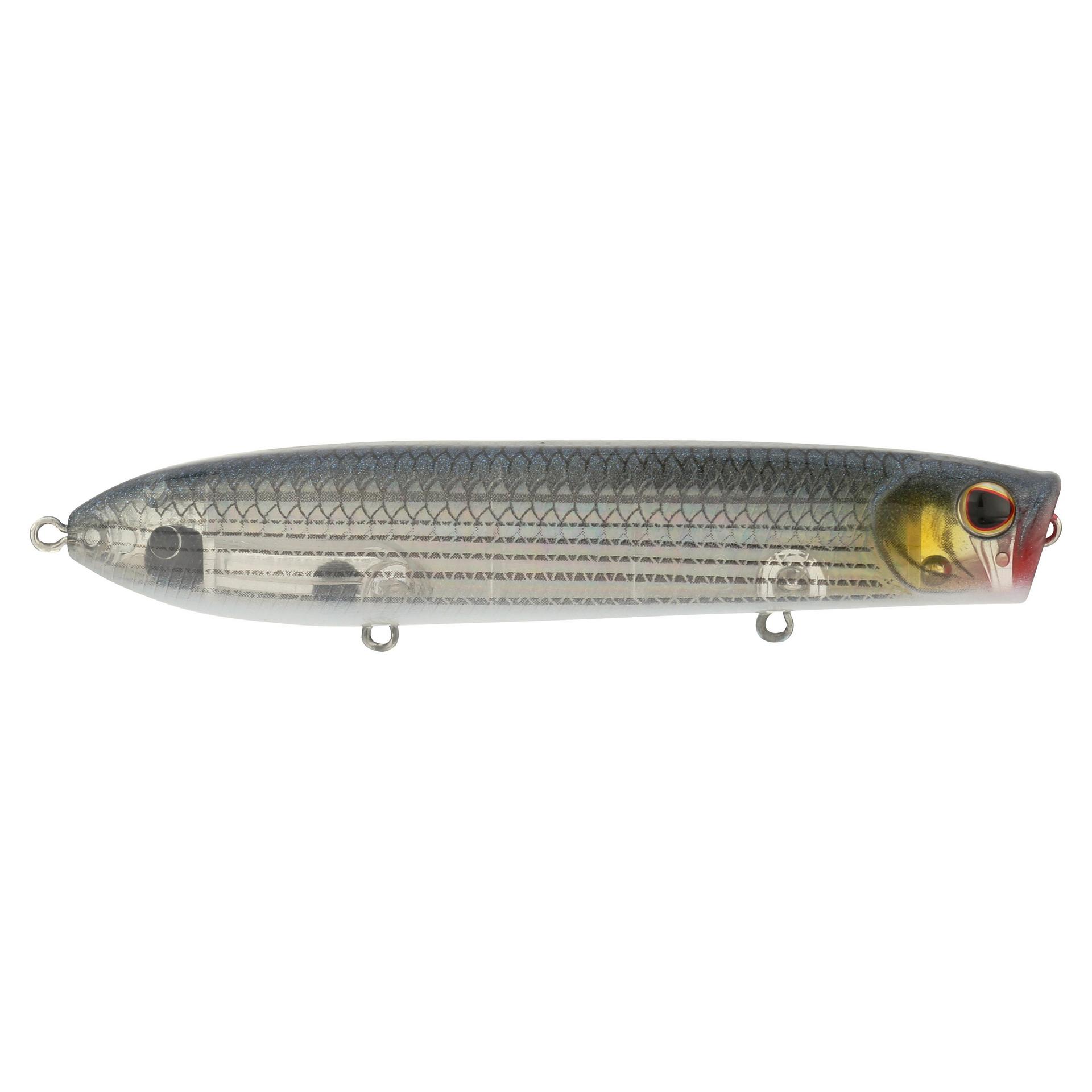 Berkley CaneWalkerSaltwater Mullet alt1 | Berkley Fishing