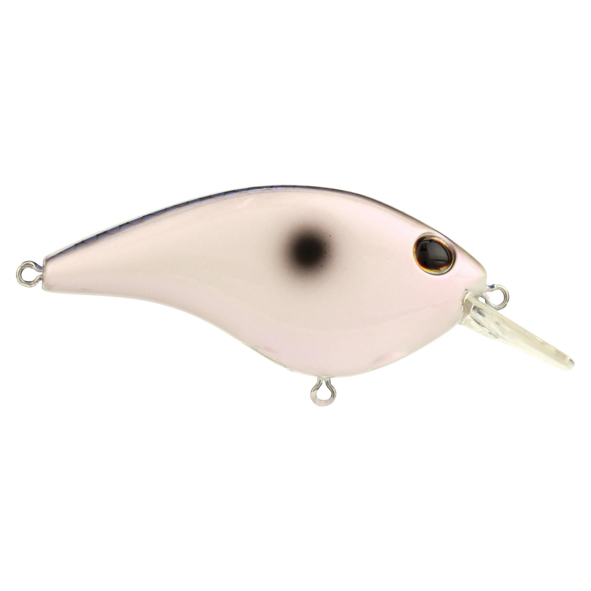 Berkley ClickinFrittside 5 KentuckyBlue alt1 | Berkley Fishing