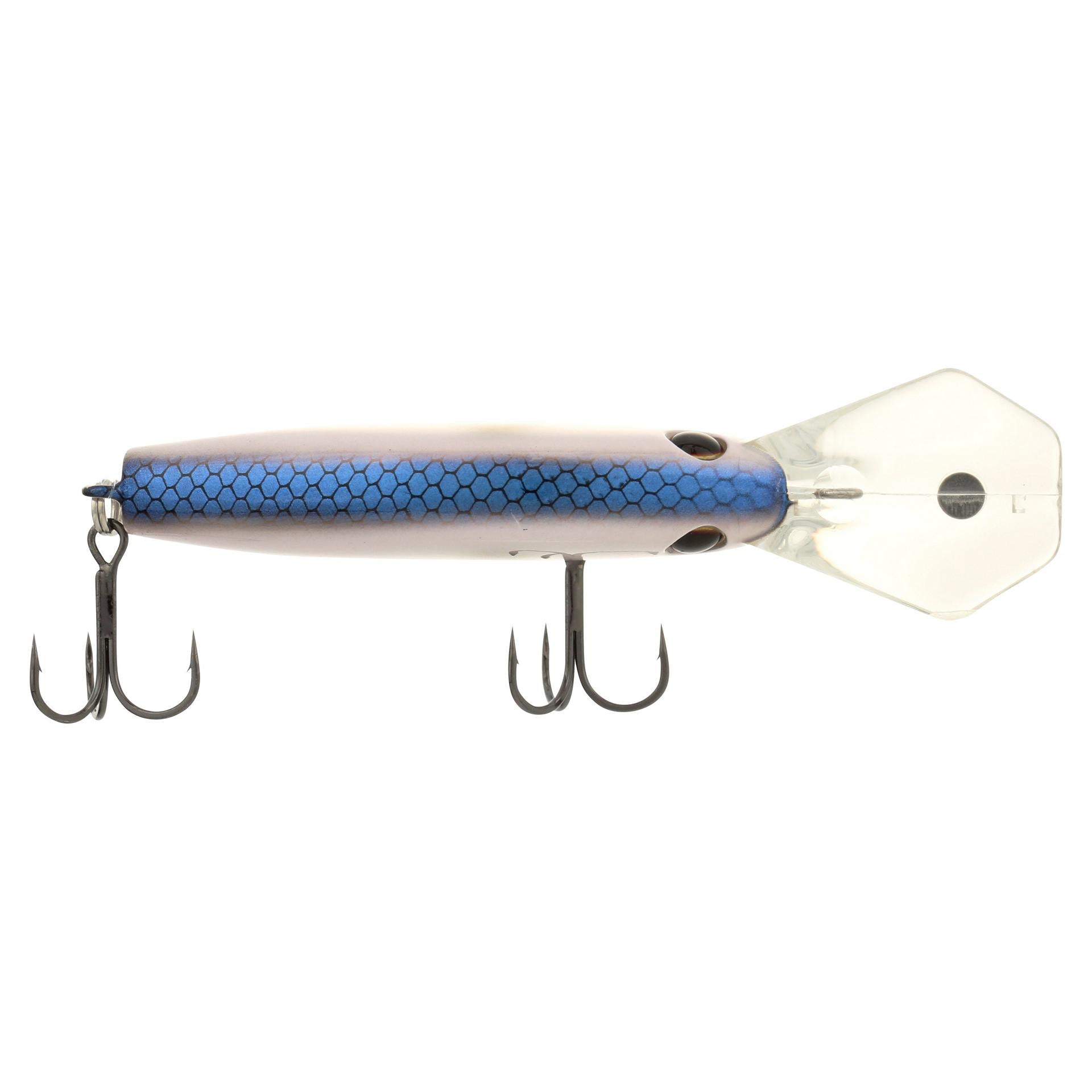 Berkley ClickinFrittside 7 KentuckyBlue alt3 | Berkley Fishing