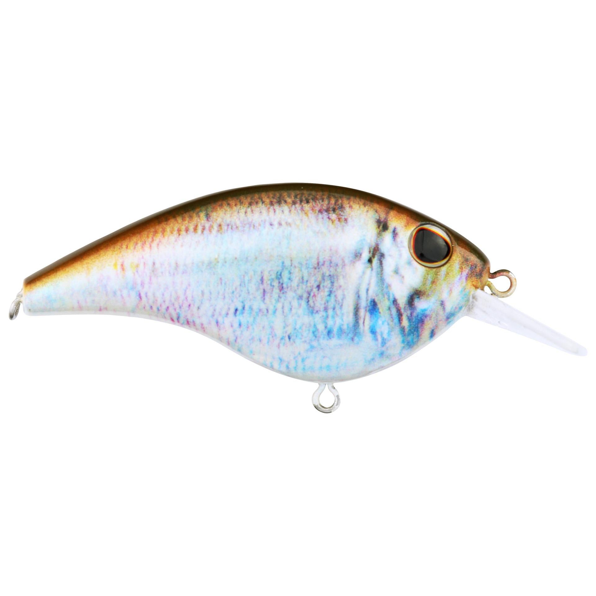 Berkley Frittside HDBluebackHerring 5 alt1 | Berkley Fishing