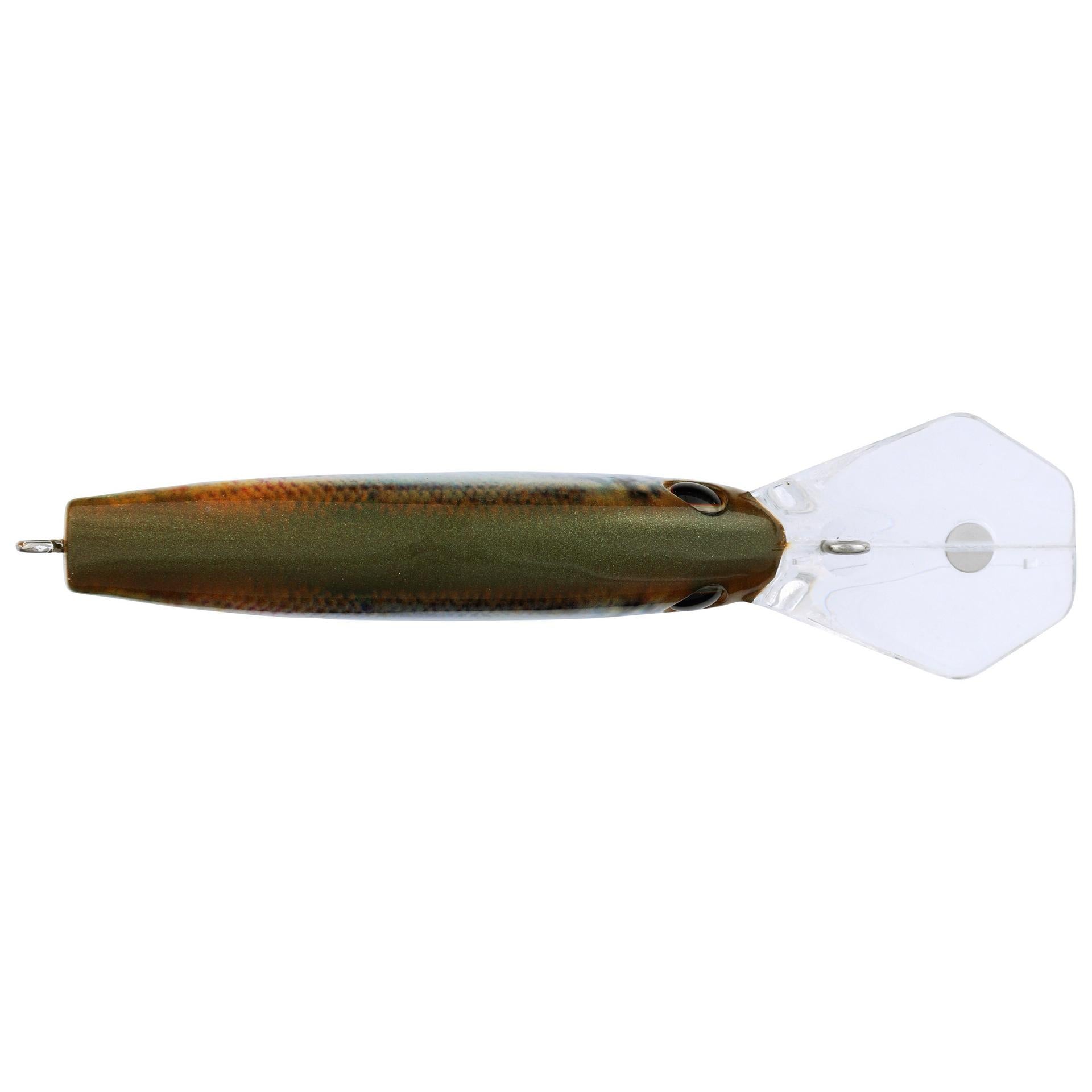 Berkley Frittside HDBluebackHerring 7 alt3 | Berkley Fishing