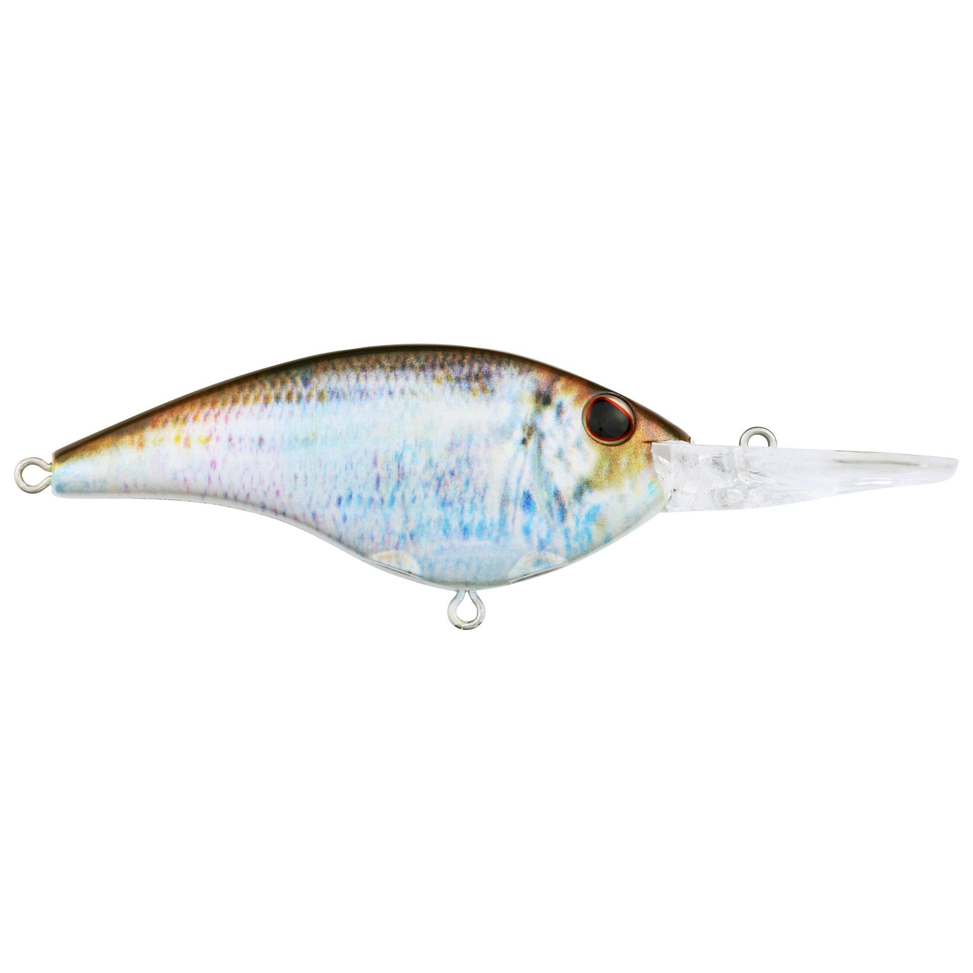 Berkley Frittside HDBluebackHerring 9 alt1 | Berkley Fishing