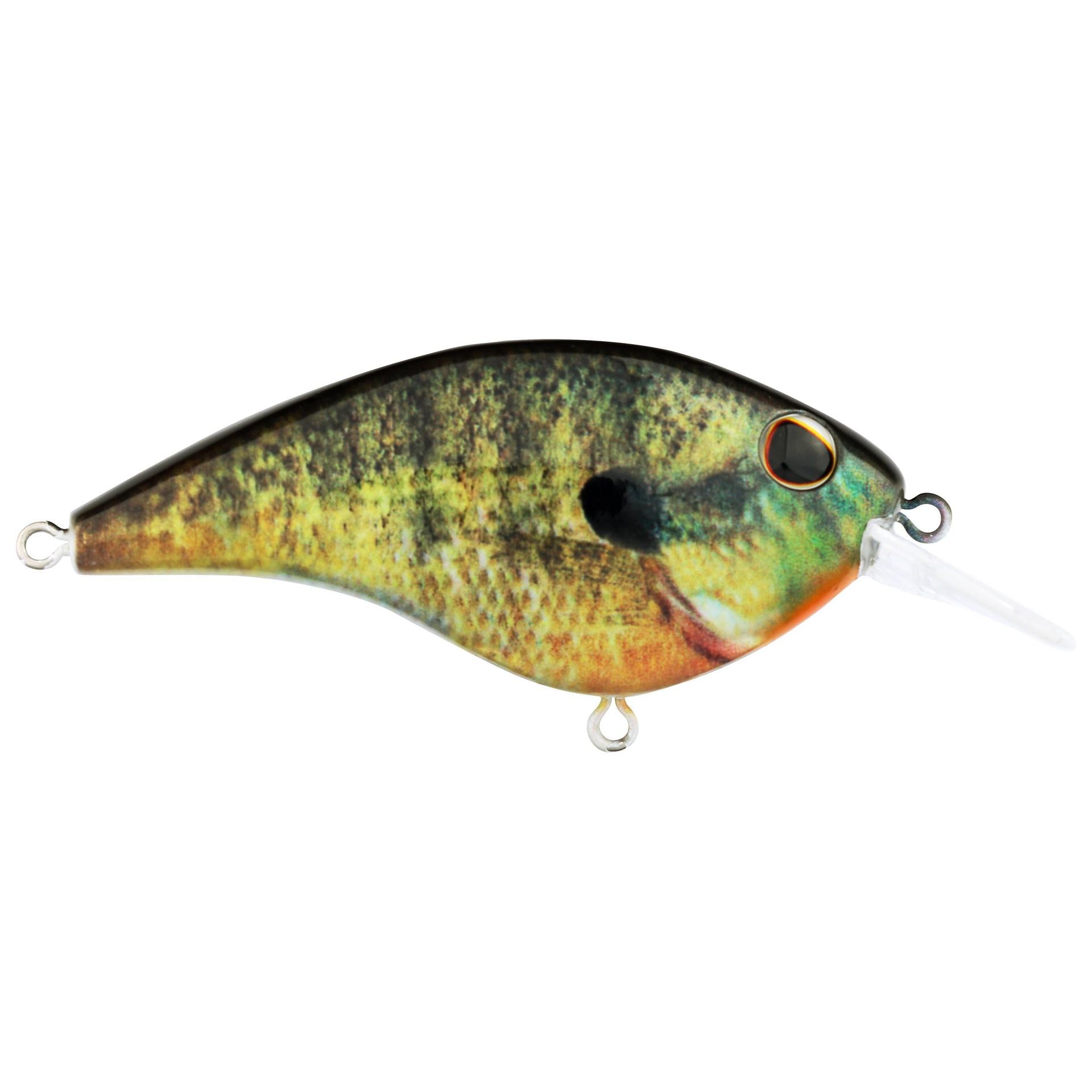 Berkley Frittside HDBluegill 5 alt1 | Berkley Fishing