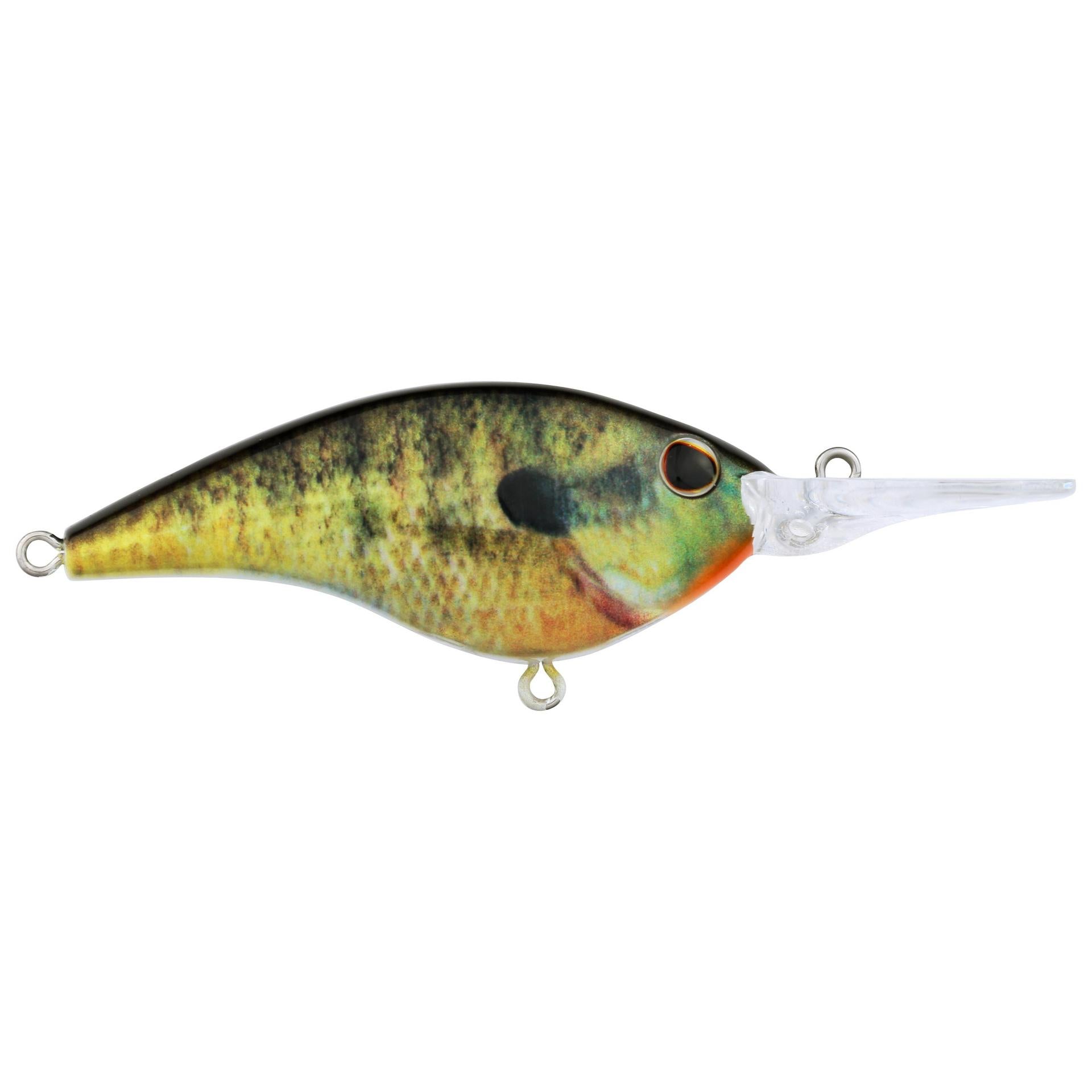 Berkley Frittside HDBluegill 7 alt1 | Berkley Fishing