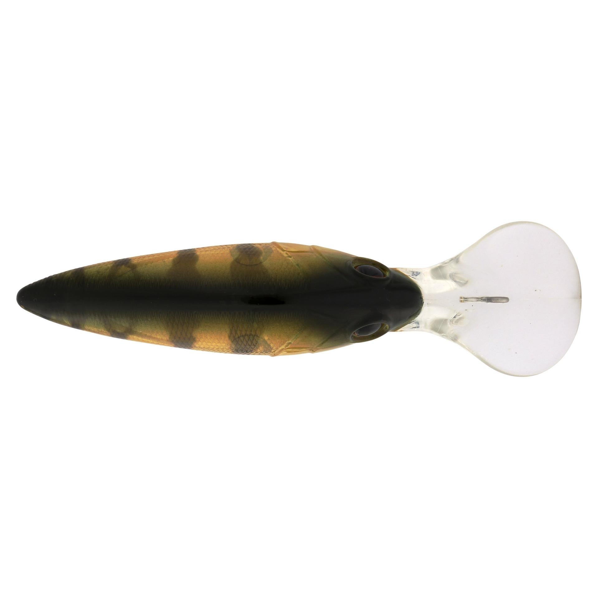 Berkley MoneyBadger 725 Perch alt3 | Berkley Fishing