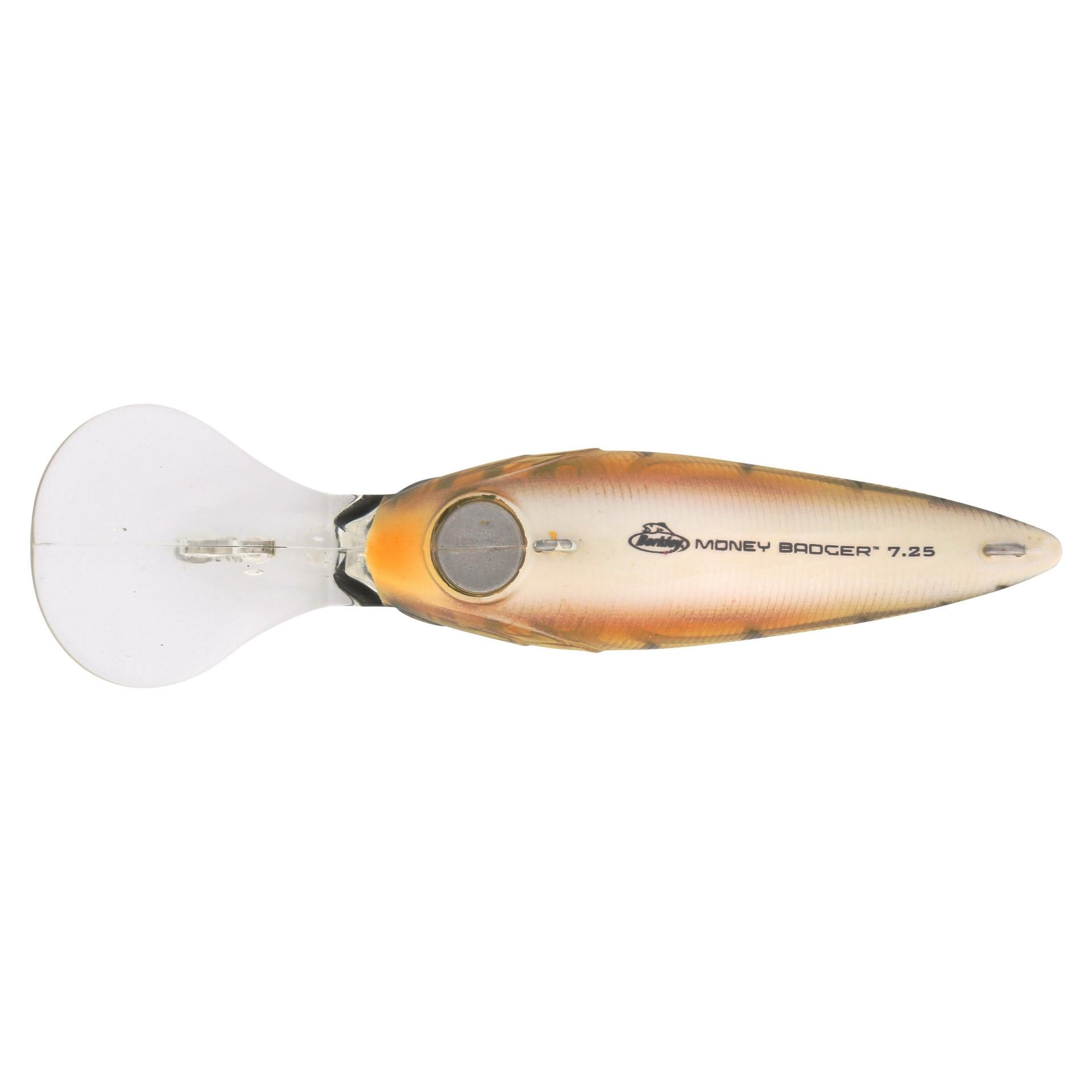 Berkley MoneyBadger 725 Perch alt4 | Berkley Fishing