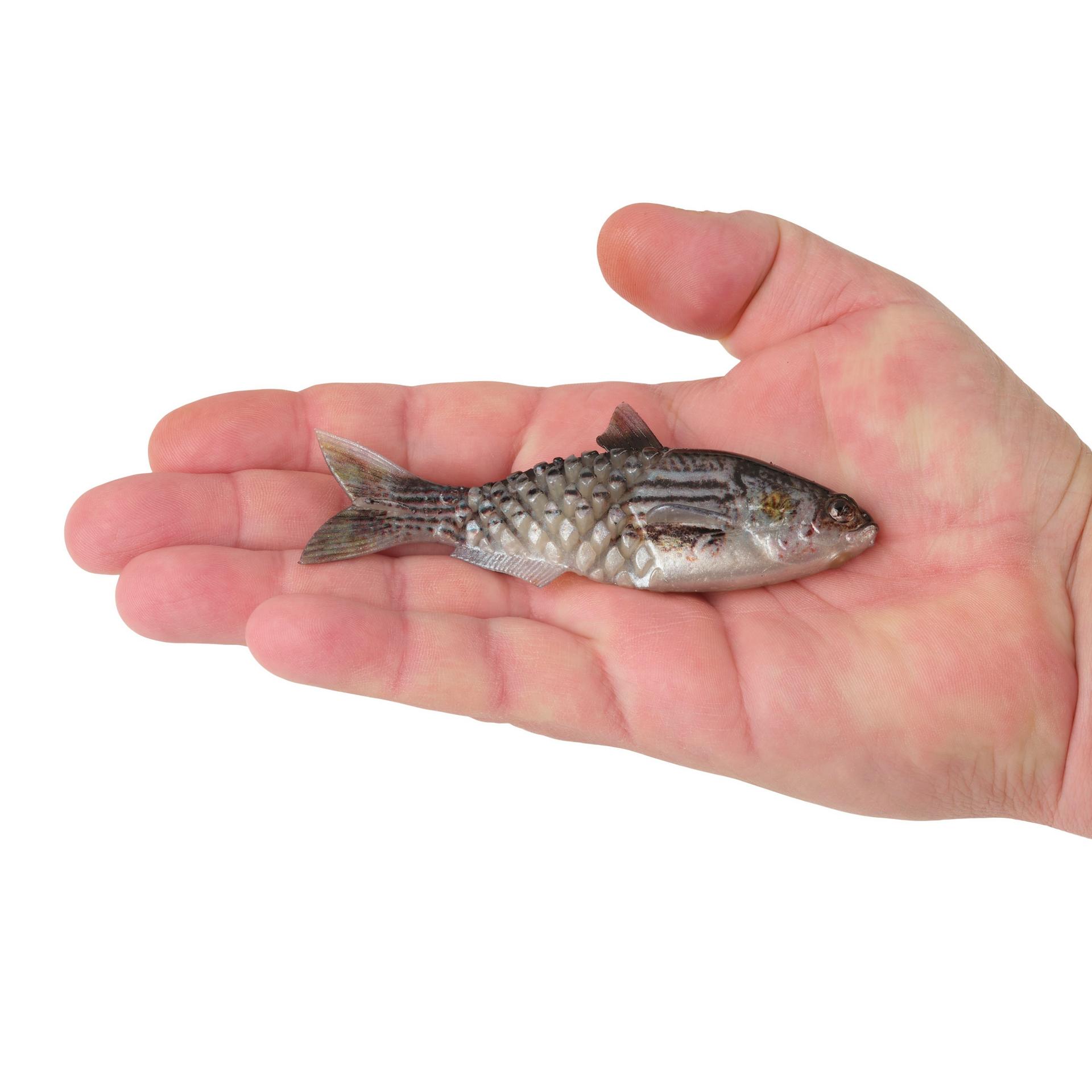 Berkley PowerBaitSaltwaterGillydine HDMullet 4.5in HAND | Berkley Fishing