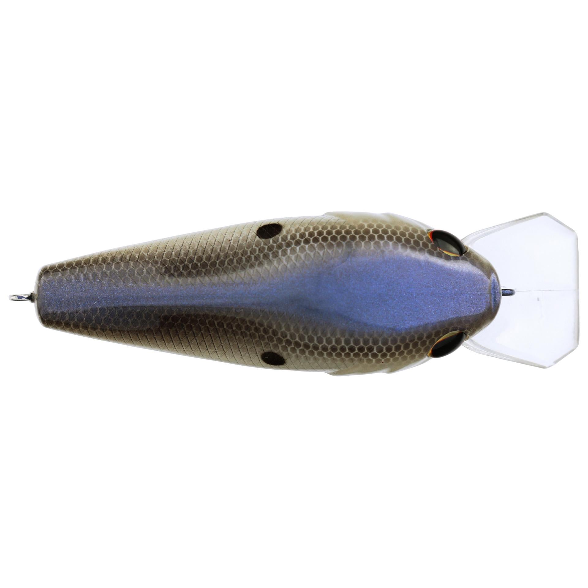 Berkley Squarebull BlueShad 75 alt3 | Berkley Fishing