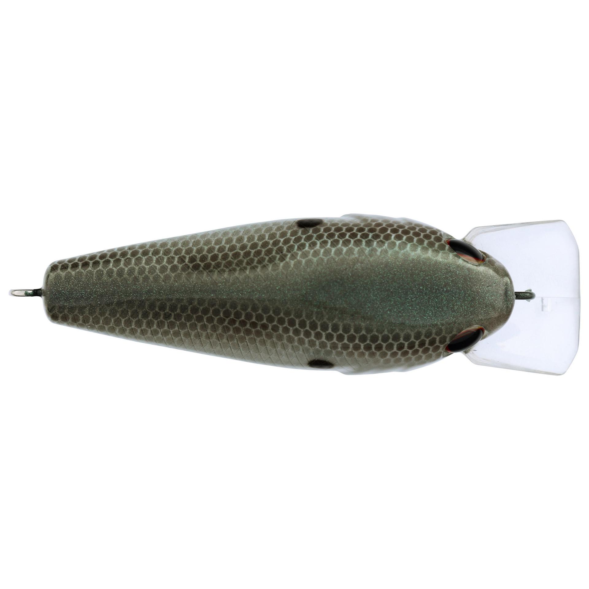 Berkley Squarebull GreenShad 55 alt3 | Berkley Fishing