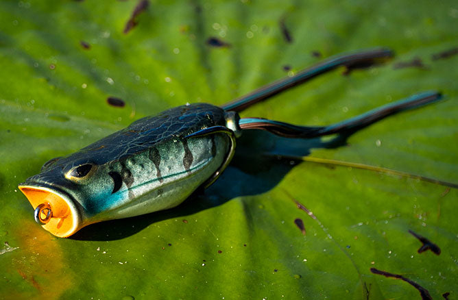 Image of topwater bait on lily pad
