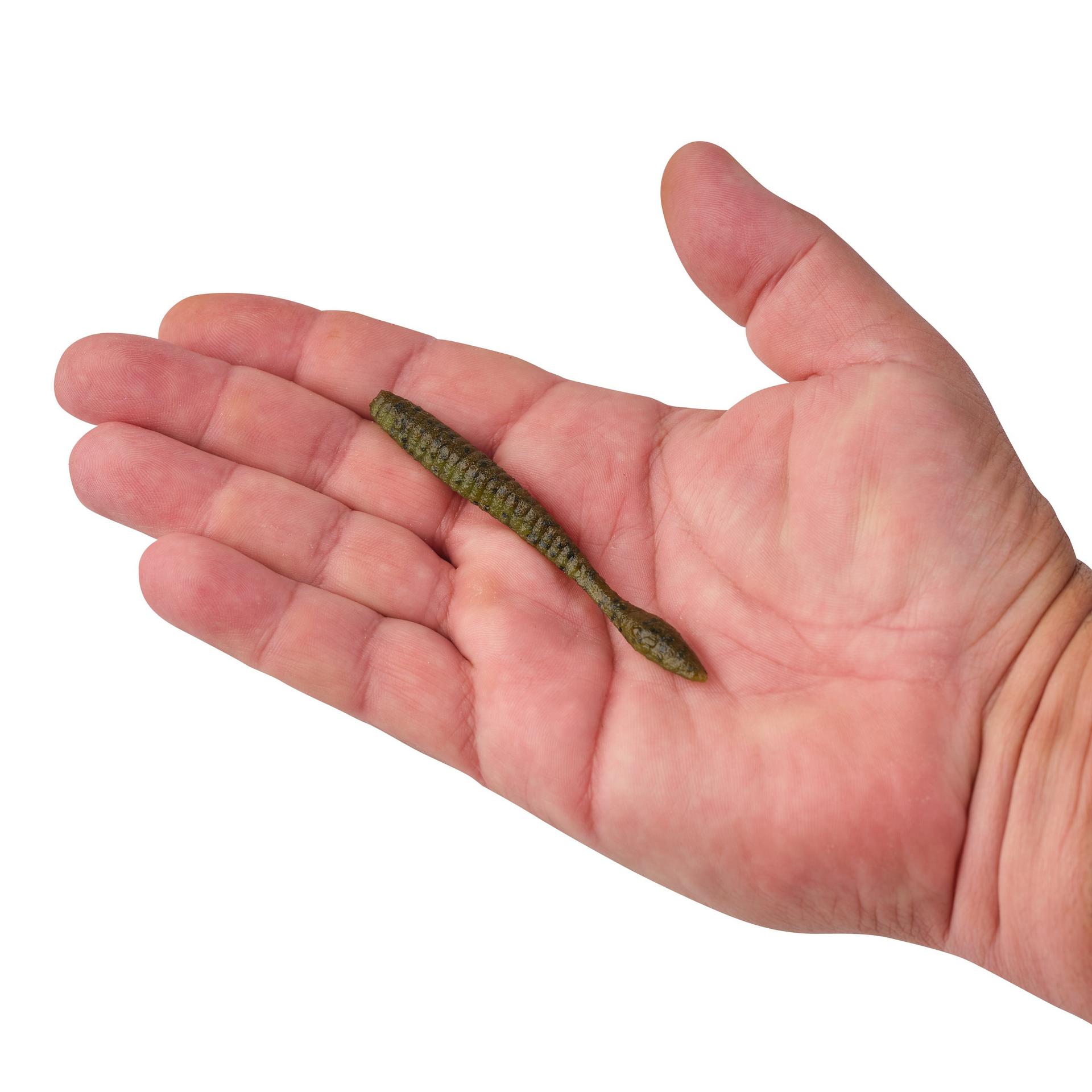 PowerBaitMaxScentFlatWorm GreenPumpkinWtrmln 3.6in HAND | Berkley Fishing