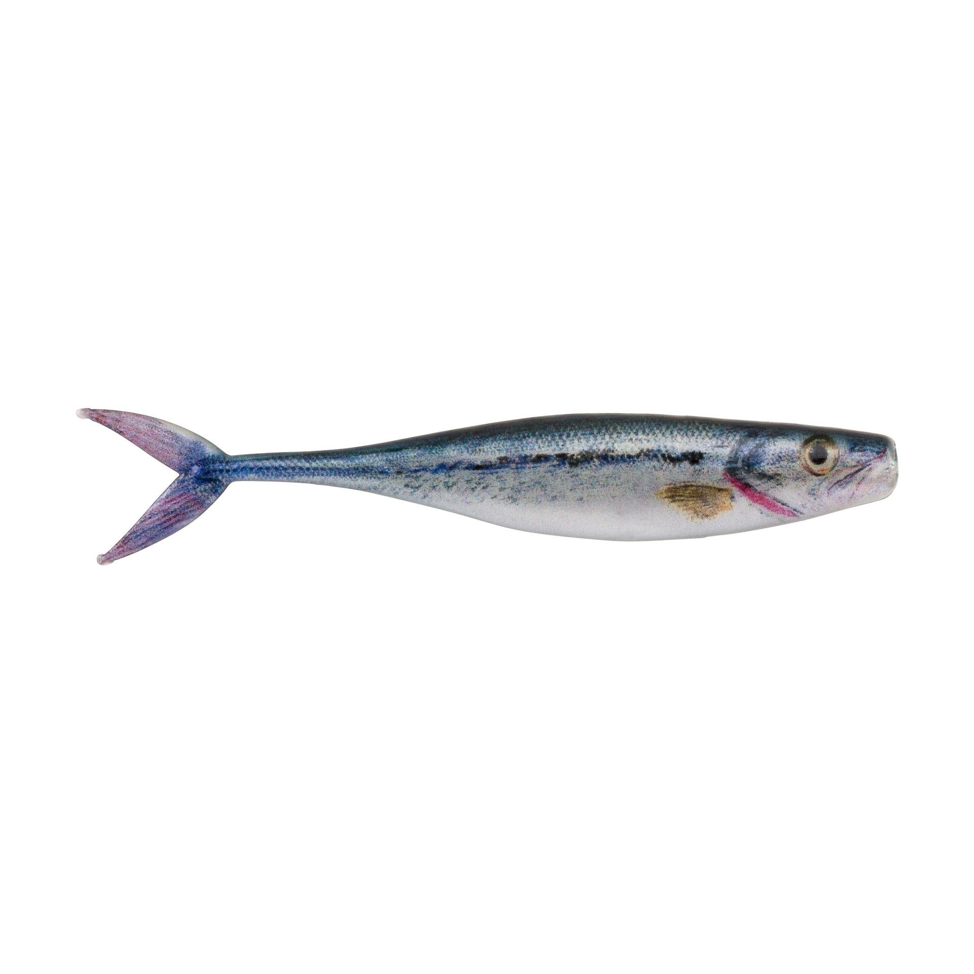 PowerBait® The Champ Minnow