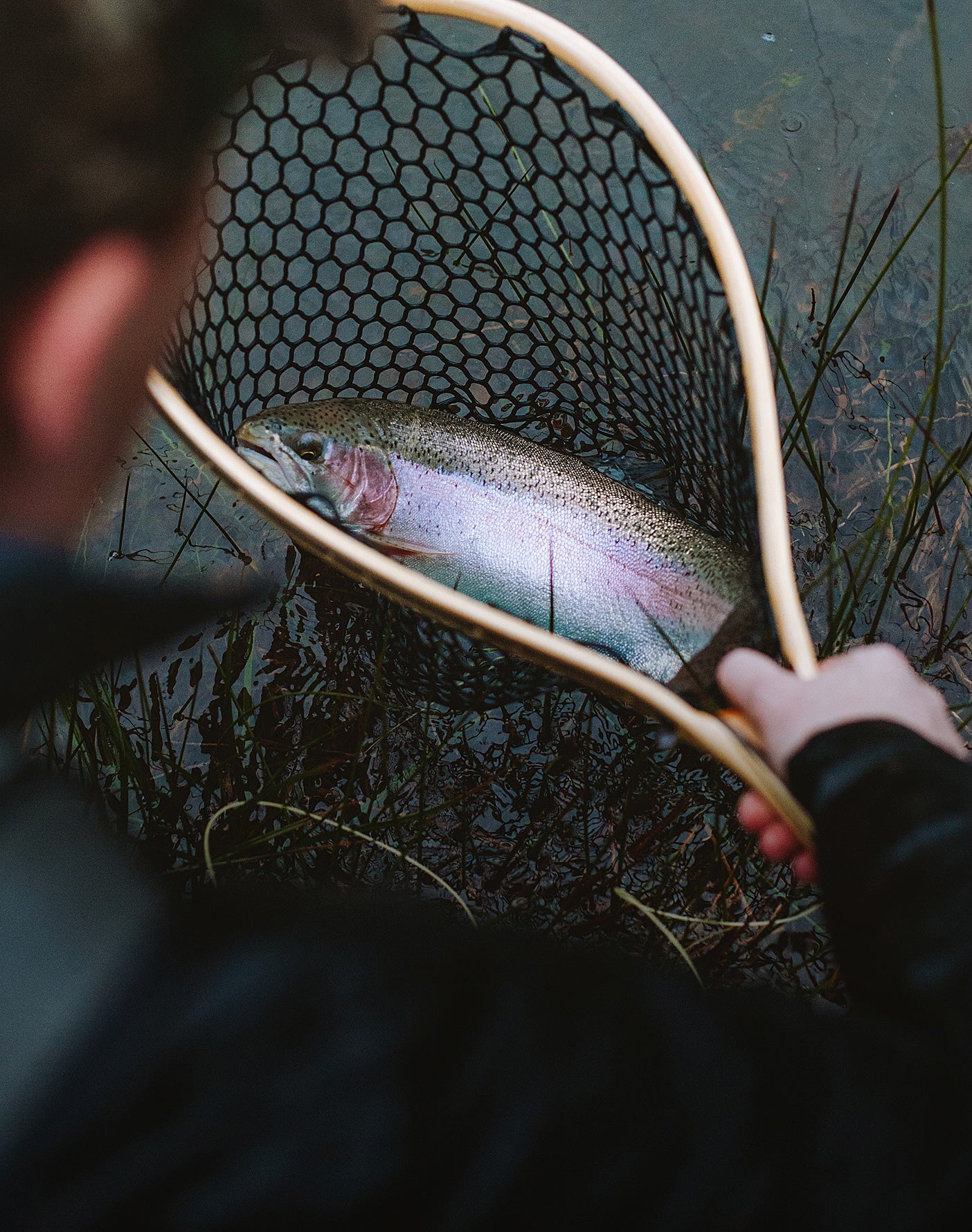 Person holding a net with a fish inside over water