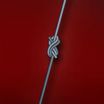 Surgeons knot