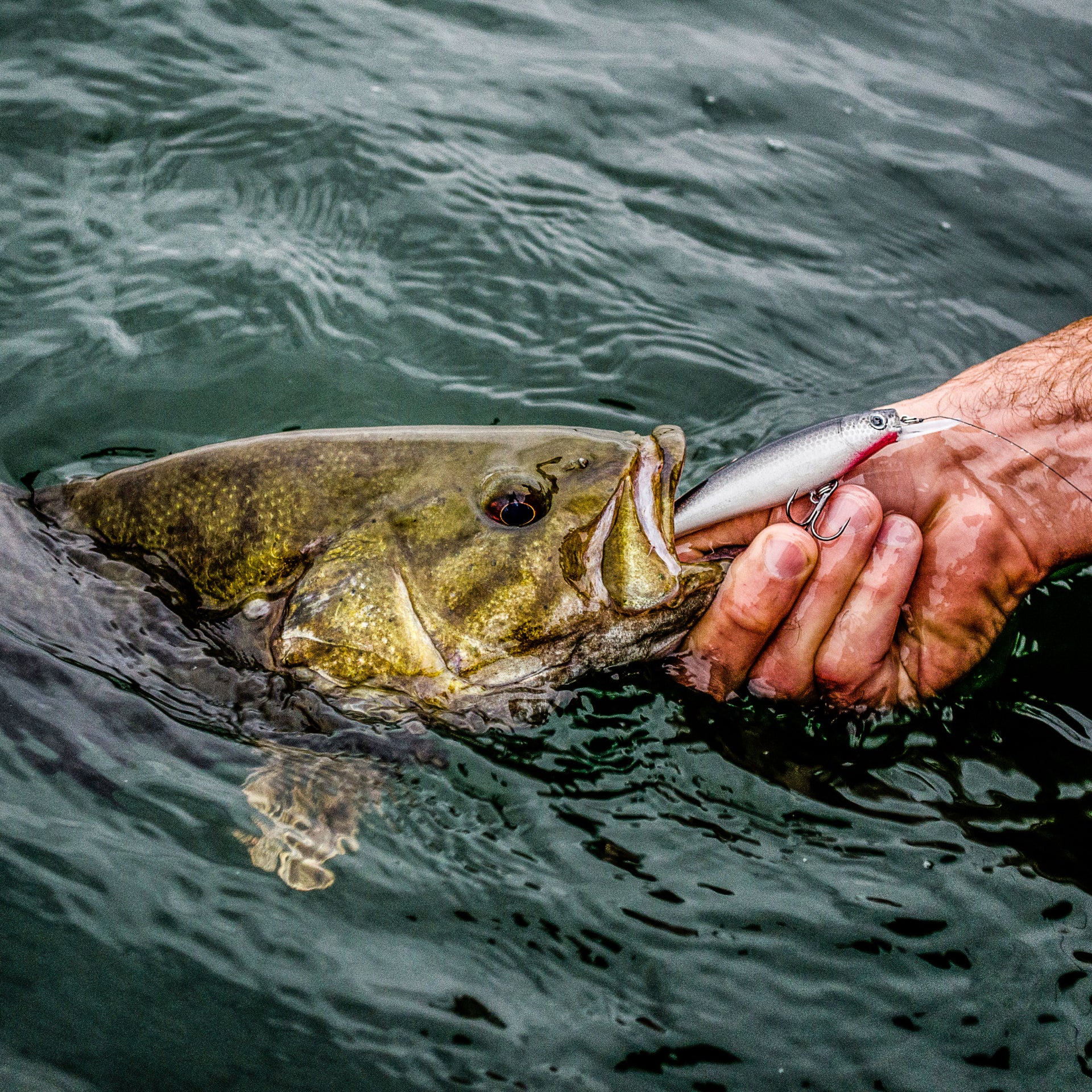 Image of guy holding fish by the mouth