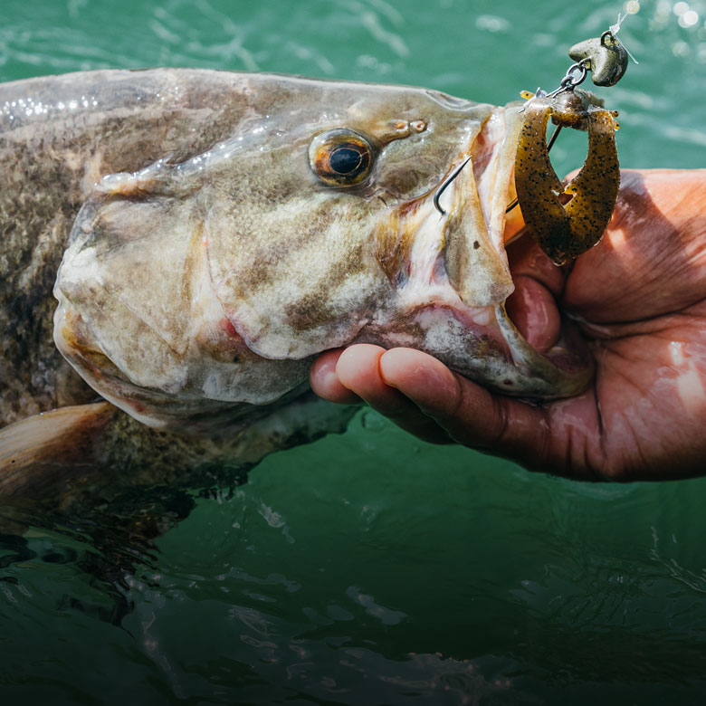 Fishing After Cold Fronts