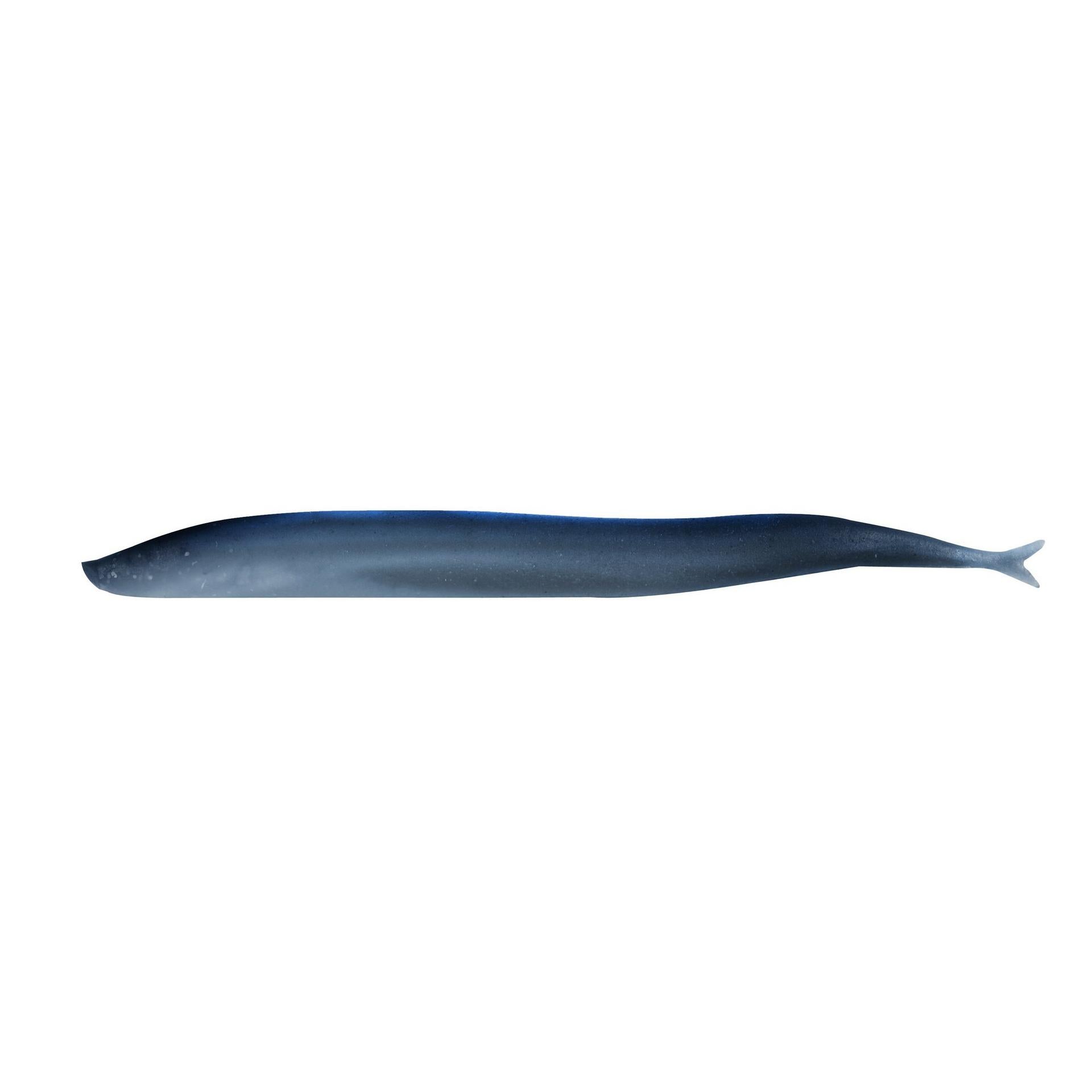 Gulp!® Saltwater Sand Eel