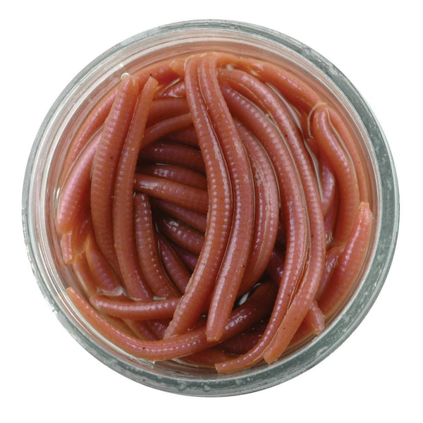 【未開封】Berkley GULP EARTHWORM BRWN 6個 Gulp!® Earthworm | Berkley Fishing®