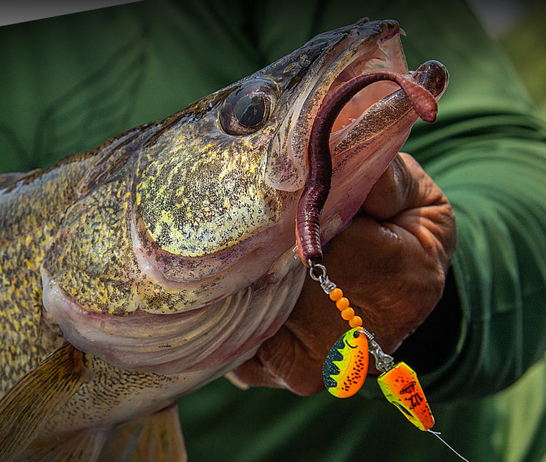 Berkley New Fall Product Launches