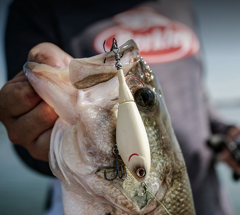 Berkley US | Fishing Gear - Line, Bait, Tackle and Equipment Berkley US | Fishing Gear - Line, Bait, Tackle and Equipment