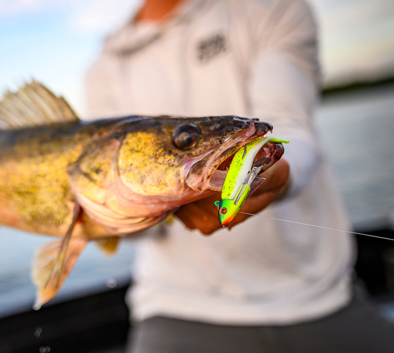 A close-up action shot of a fisherman holding a walleyed fish in the water, with the lure attached to the mouth. The lure is a bright neon chartreuse green with a white body and red accents.