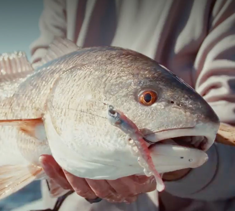 Person holding a large fish with a blurred background