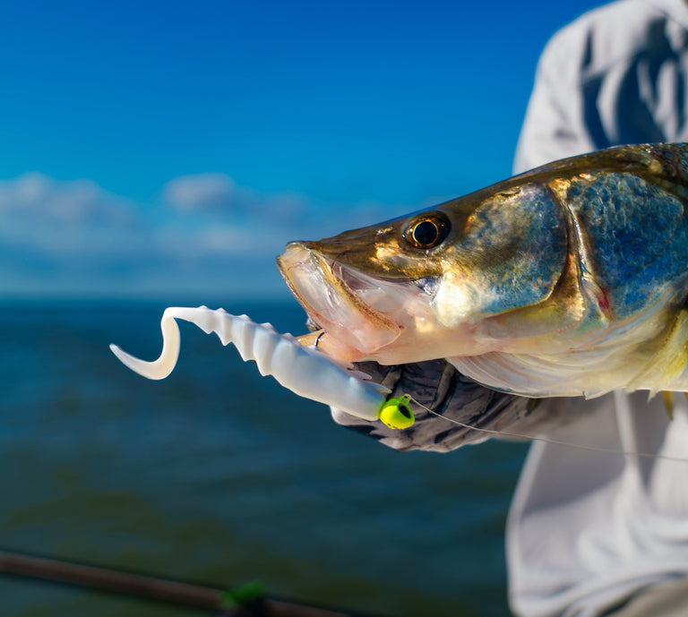 Fish with a lure in its mouth held by a person against a blue sky and water background