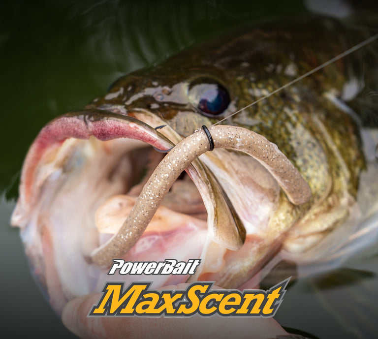 berkley fishing corporate headquarters Powerbait Nessie 5 Inch 2/5 oz Berkley US | Fishing Gear