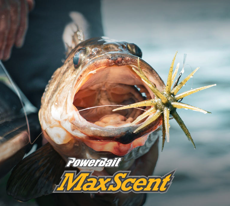 Fishing lure in a fish's mouth with PowerBait MaxScent branding.