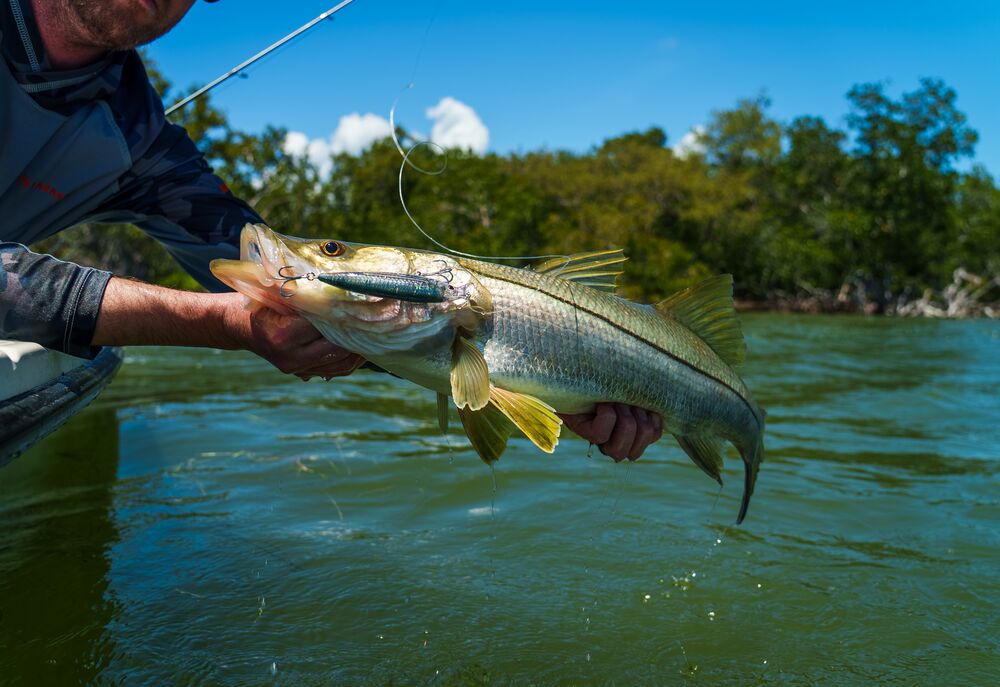 A person in a boat holds a freshly caught fish with a fishing lure in its mouth over greenish-blue water, with trees and blue sky in the background.