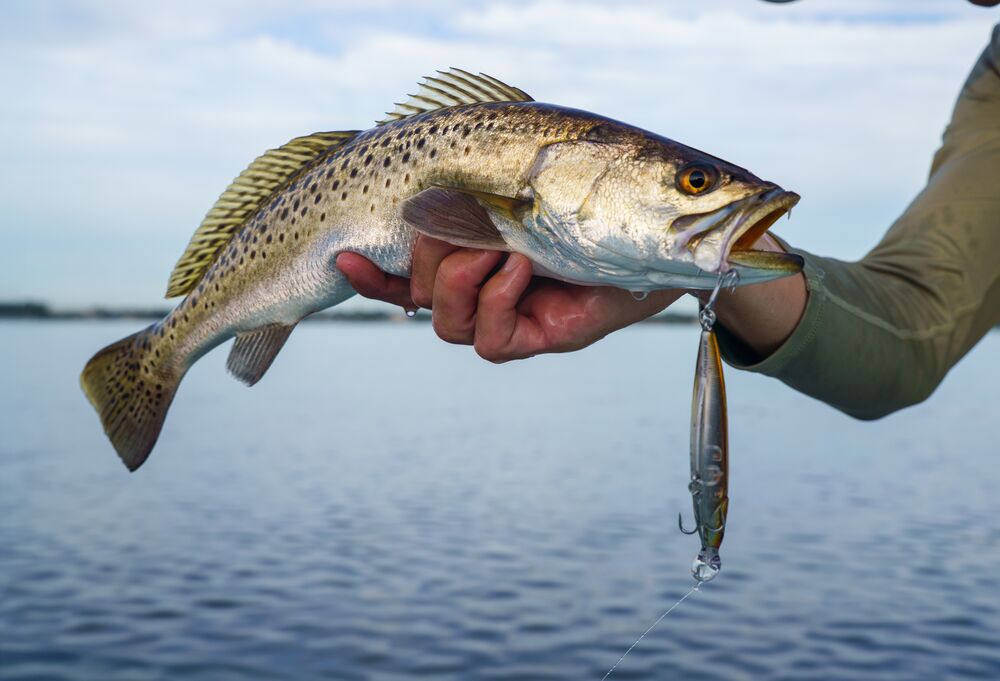 A person holds a spotted bass fish over calm blue water, with a fishing lure dangling from the mouth. The background shows an out-of-focus lake and sky.
